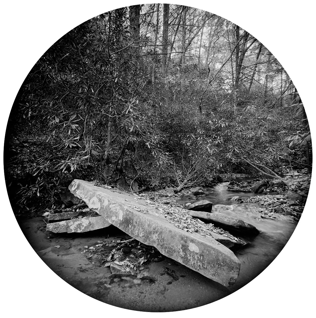 Circles-2015-#48-Neg-1-wp-proof.jpg