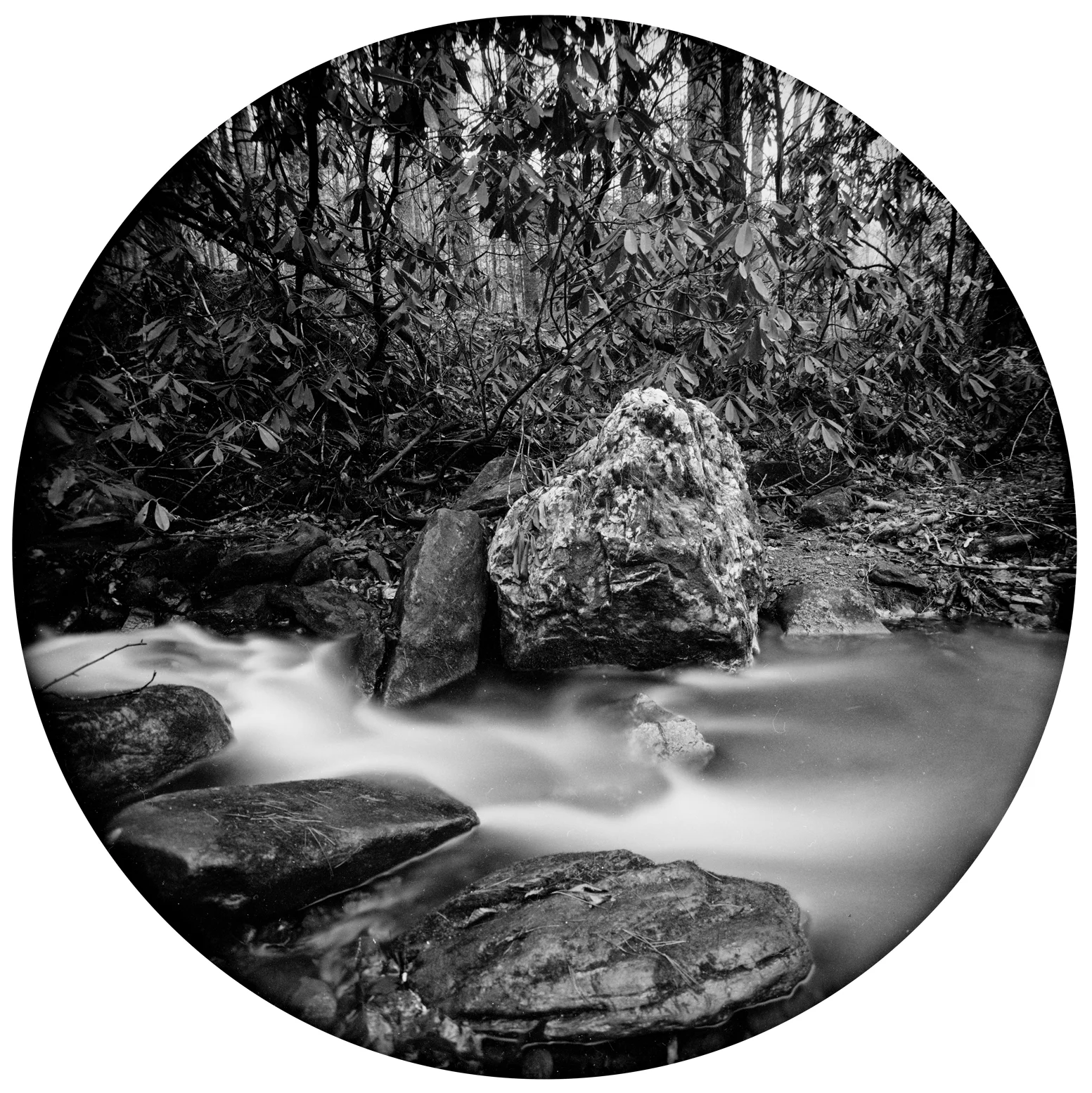 Circles-2017-#03-neg-2-wp.jpg