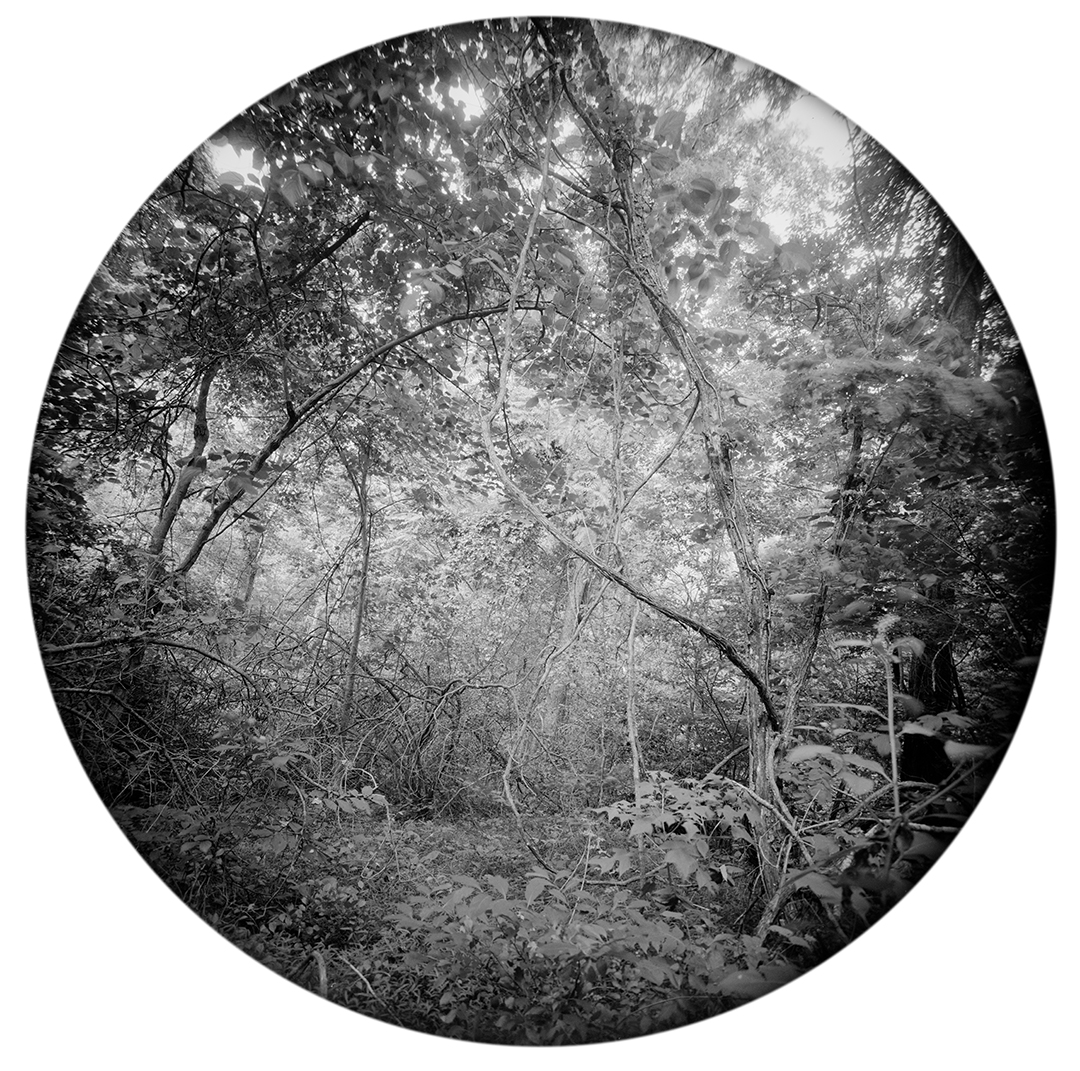 Circles-2017-#17-Neg-1-wp-proof.jpg