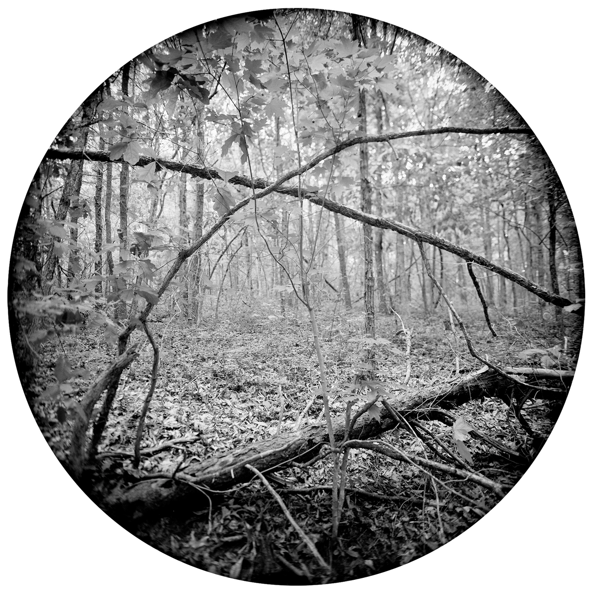 Enveloping-Landscape-#7.png
