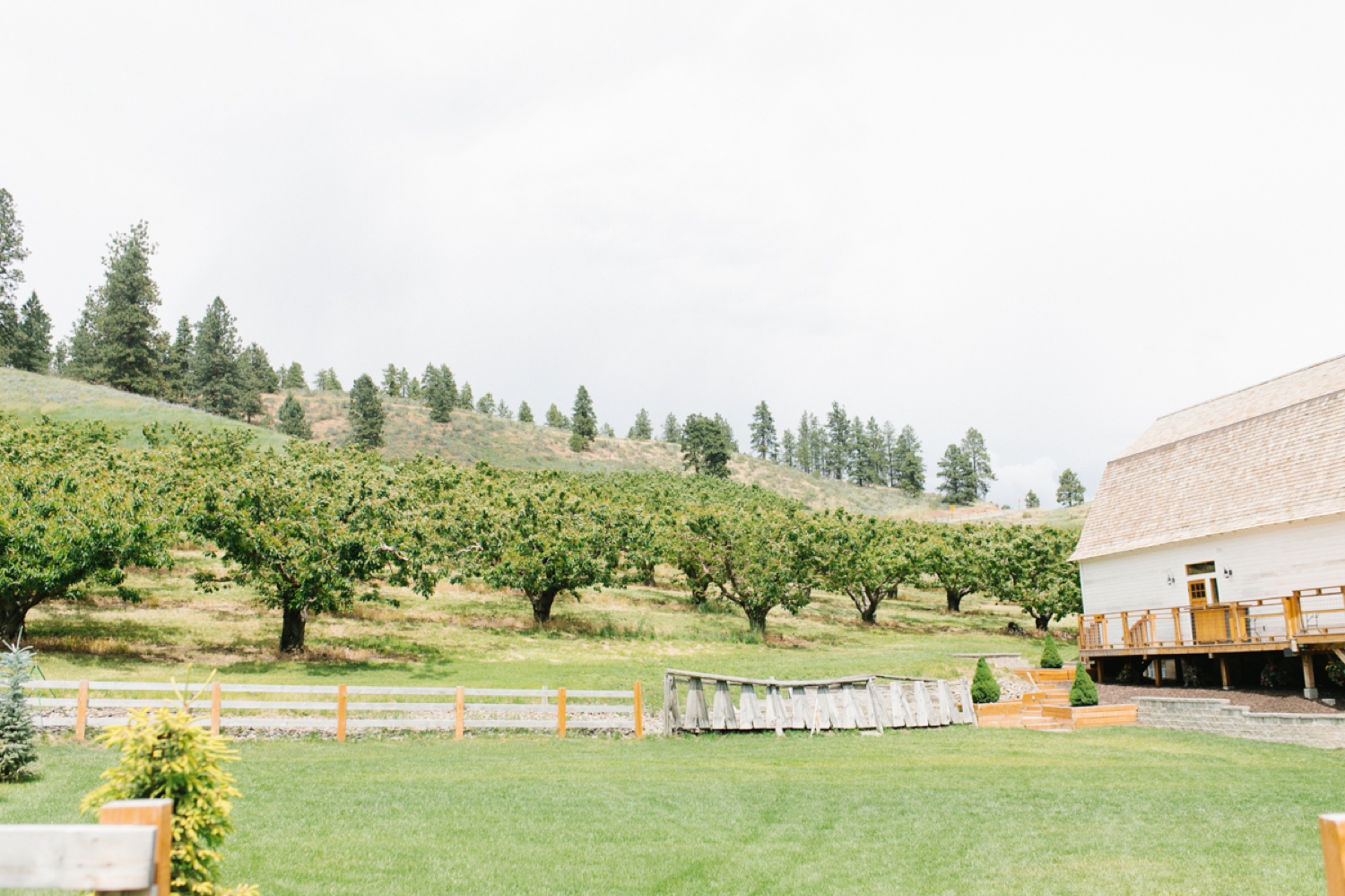 Wenatchee Wedding Photographer | Hampton Hideaway | Summer Rustic Wedding Eastern Washington | Emma Rose Company | Pastel Wedding Inspiration | Lace Wedding | Pacific Northwest Wedding 3.jpg