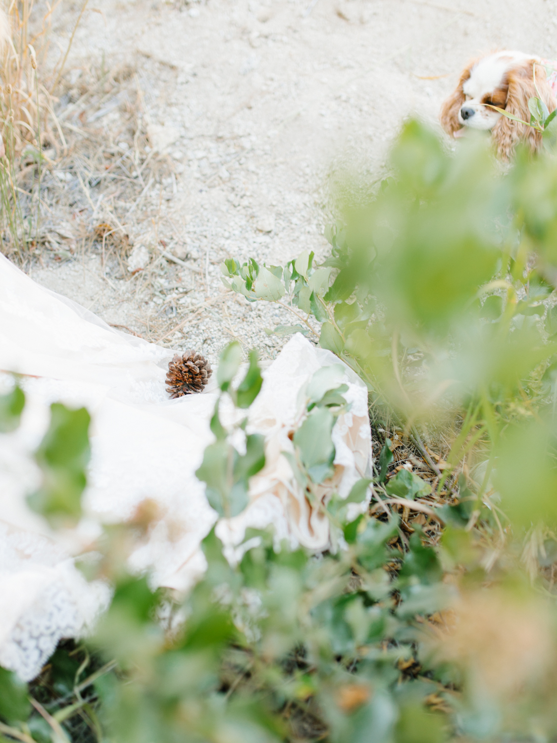Leavenworth Washington Mountain Top | Wedding | Intimate Wedding Inspiration Outdoors | Pybus Bistro Wenatchee, Washington | VSCO | Simple Wedding | PNW Wedding | Emma Rose Company-60.jpg