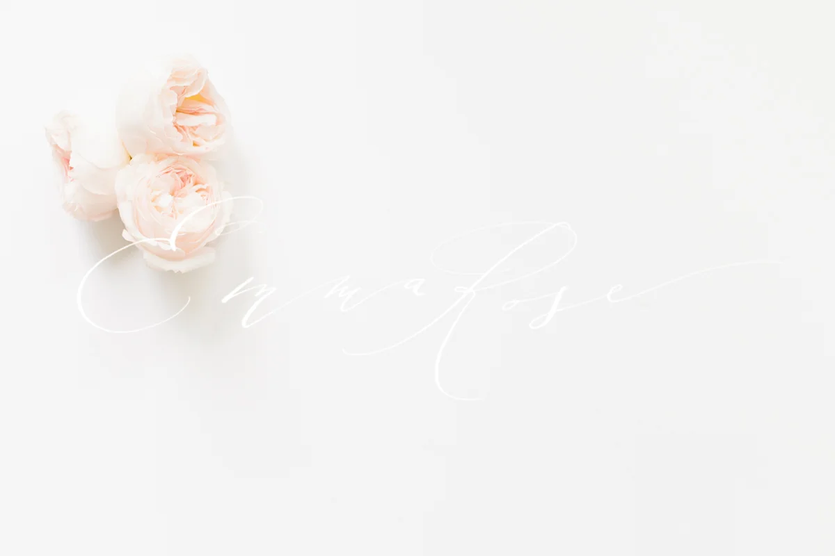 Styled Stock for Marketing | Emma Rose Company | Simple Blush Bundle