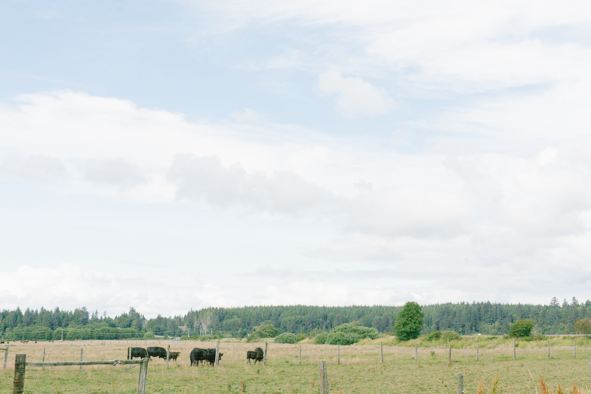 Dream Chasers Workshop | Rose Ranch Washington Wedding | Rose Ranch Styled Shoot | Emma Rose Education | Dream Chasers with Cameras Workshop | Barn Wedding | Cattle Ranch Wedding Details | Farm Wedding-34.jpg