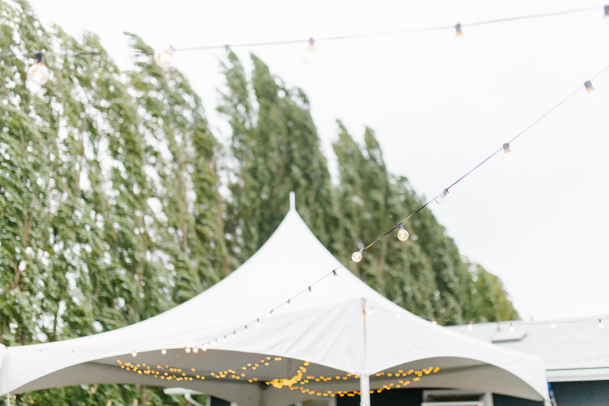 Stunning Fall Washington Wedding | PNW Wedding | Seattle Wedding Photographer Light and Airy | VSCO | Emma Rose Company Photography | Hydrangea Wedding Dress | Wedding Details | Non Traditional Wedding Gown-84.jpg