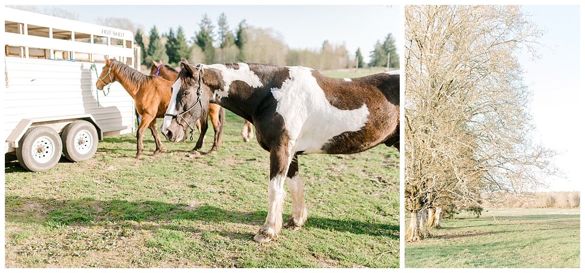 Sunset Senior Session with Horse | Senior Session Inspiration Session | Horse Photo Session | Pacific Northwest Light and Airy Wedding and Portrait Photographer | Emma Rose Company | Kindred Preset.jpg