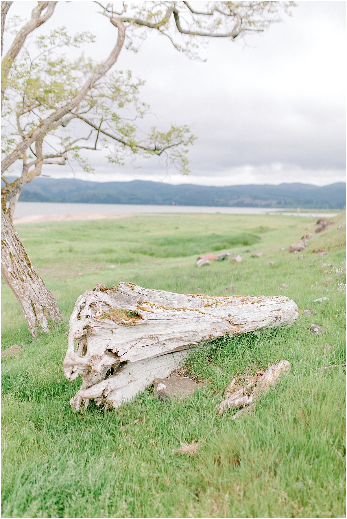 Gorgeous Beach and Ranch Engagement Session, Pacific Northwest Elopement Wedding Photographer, What to Wear to Engagement Pictures, Kindred Presets, Seattle Wedding Photographer47.jpg