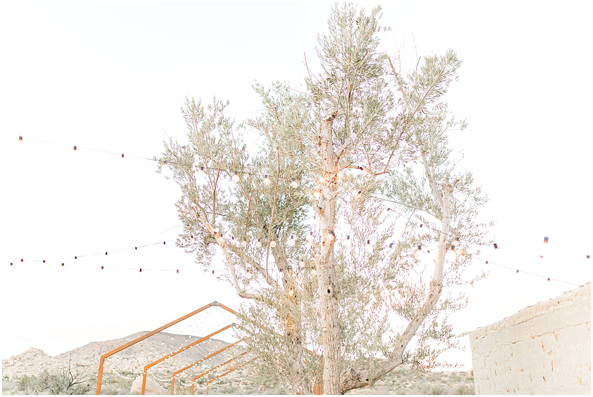 The Ruin Venue | Joshua Tree, California | Wedding Inspiration | The Dress Theory Desert Wedding | Emma Rose Company Wedding Photographer | Light and Airy Photographer | Kindred Presets-30.jpg