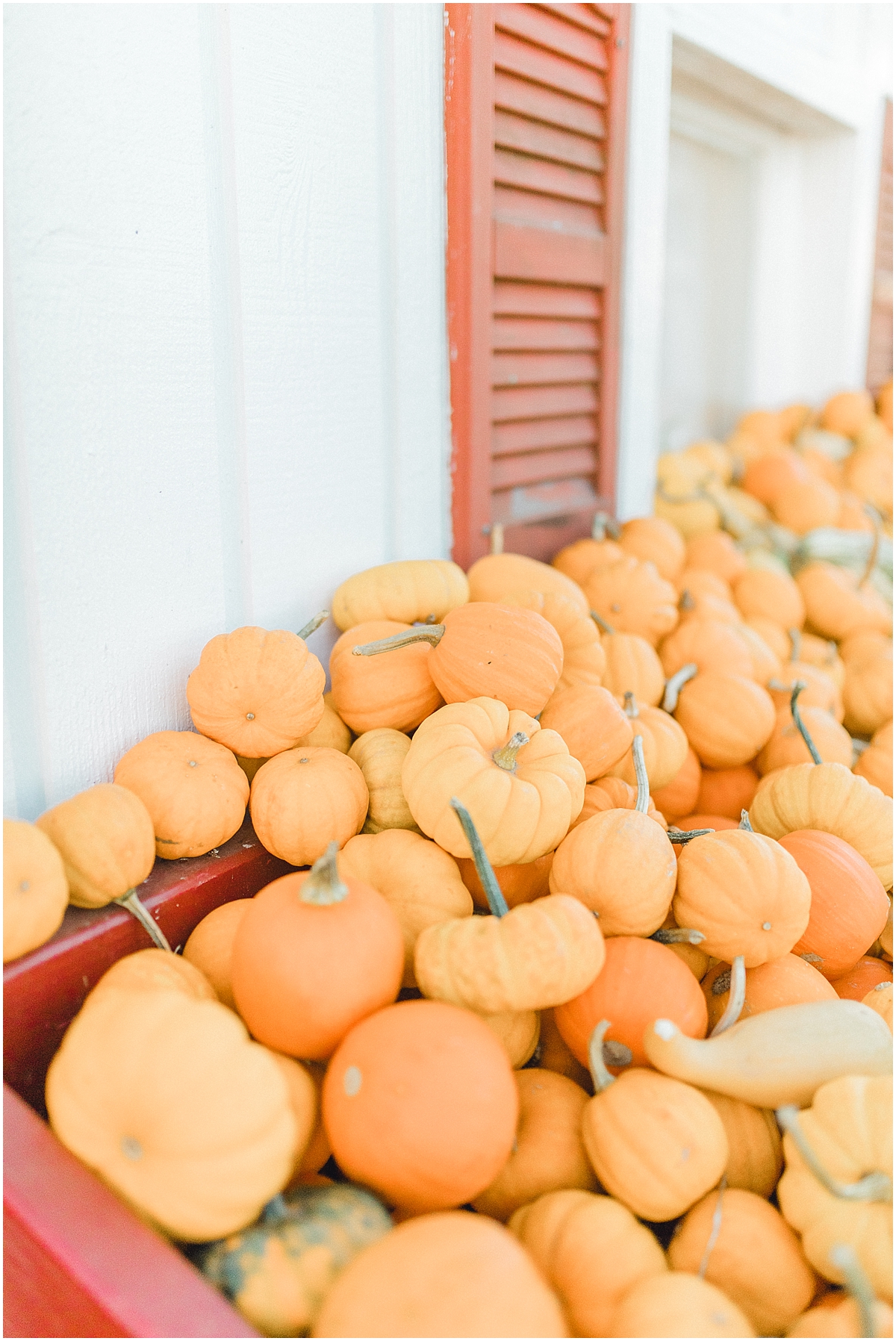 Pumpkin Patch Photo Shoot With Toddler and Mommy | Emma Rose Company Seattle Portland Light and Airy Wedding Photographer | Kindred Presets | Film_0020.jpg