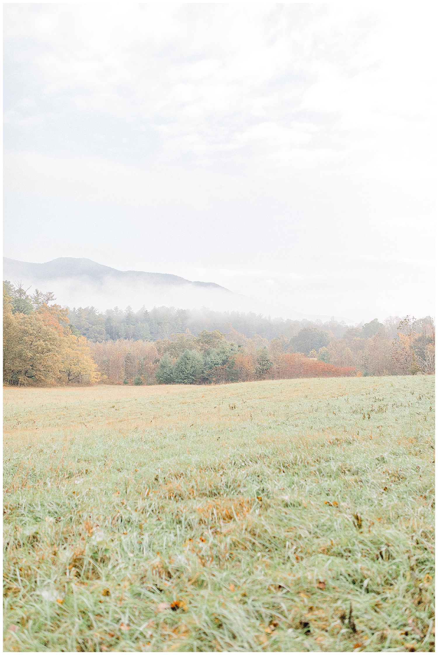 Emma Rose Company recently got to travel all the way to Nashville to photograph the most beautiful post-wedding bride and groom portraits in the Great Smoky Mountains with a gorgeous couple! Nashville wedding inspiration at it's finest._0031.jpg