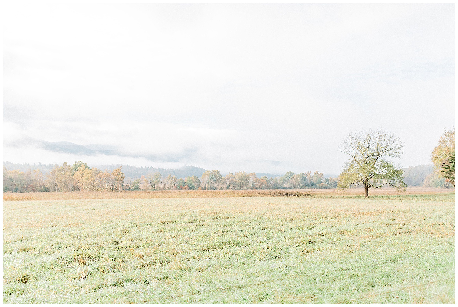 Great Smoky Mountains Engagement Session with Emma Rose Company_0042.jpg
