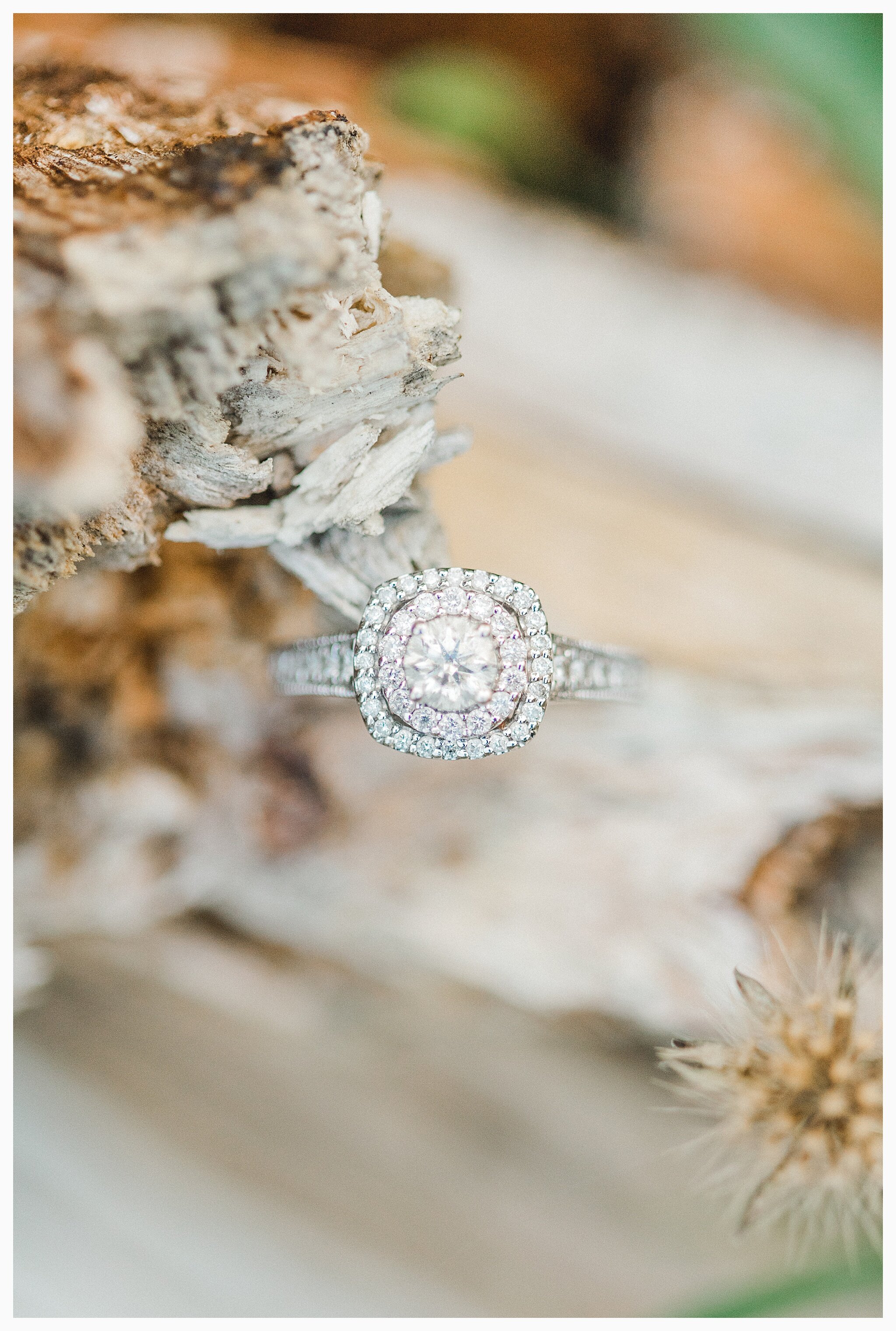 Emma Rose Company Light and Airy Wedding and Engagement Photographer, Seattle and PNW, Rose Ranch_0023.jpg