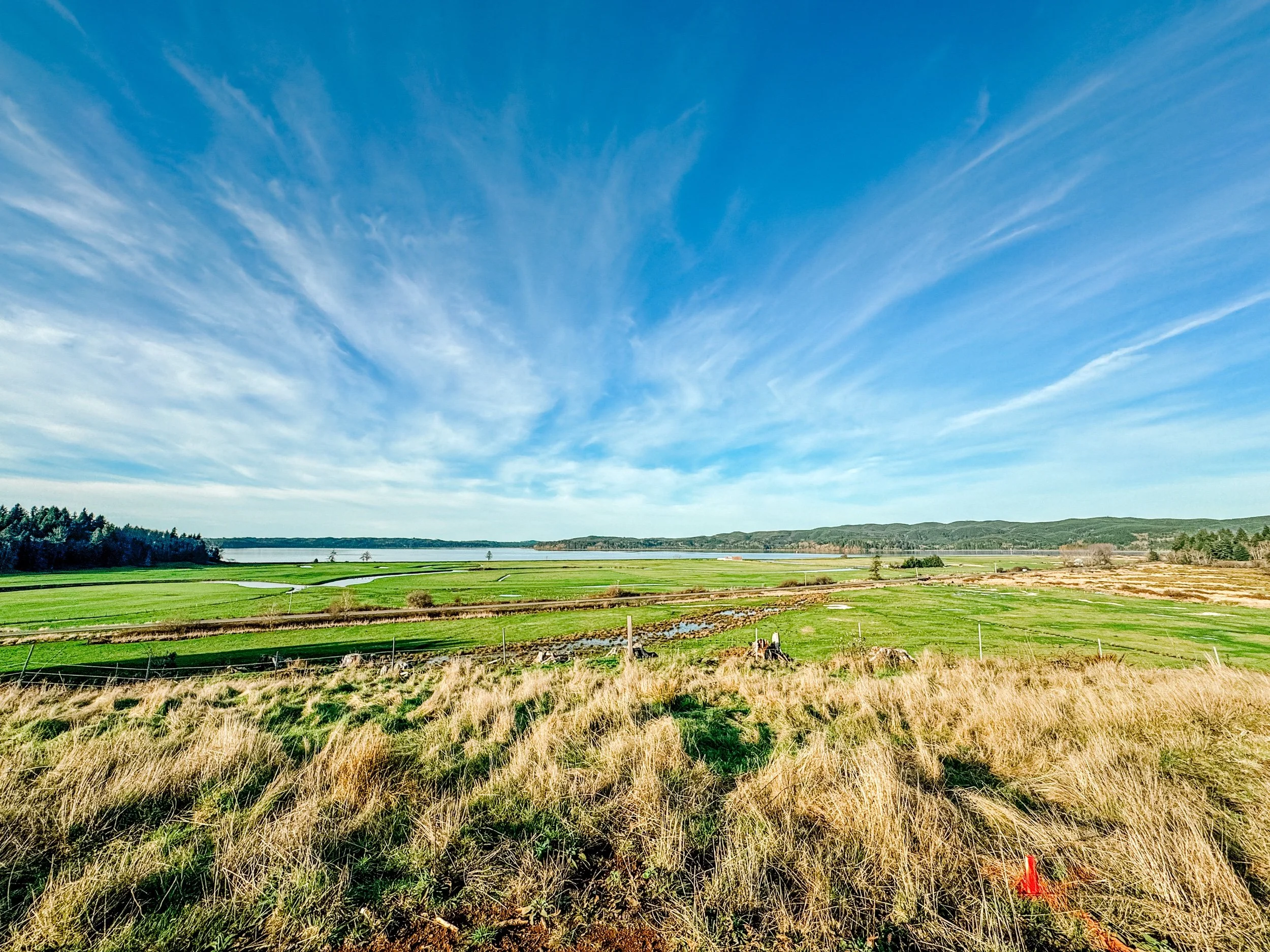 Hi, I’m Emma… again.