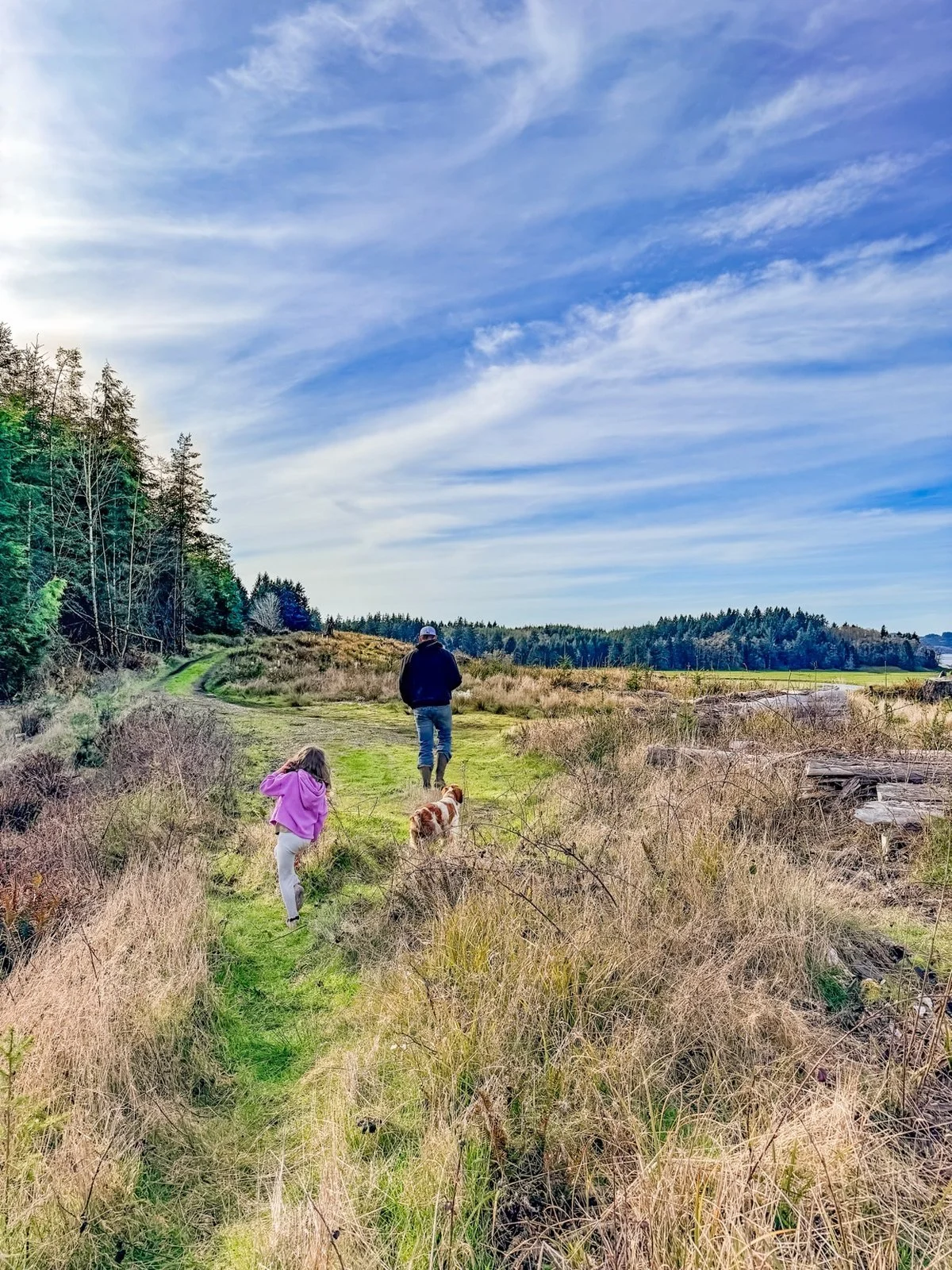 The Forever Home Series: Construction Update: Trusting the Process (and the Rabbit Holes)