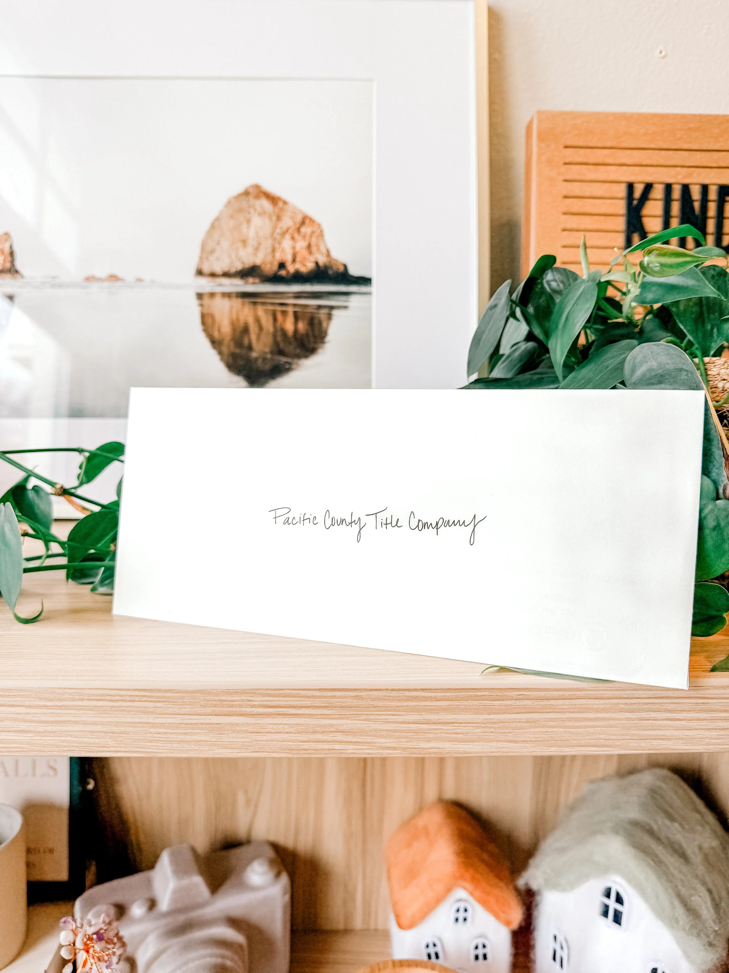 Forever Home Update: The Week It Finally Became Real