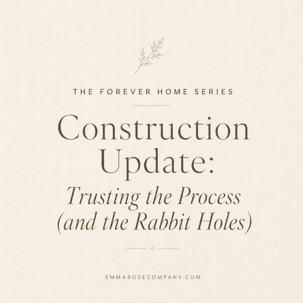 The Forever Home Series: Construction Update: Trusting the Process (and the Rabbit Holes)