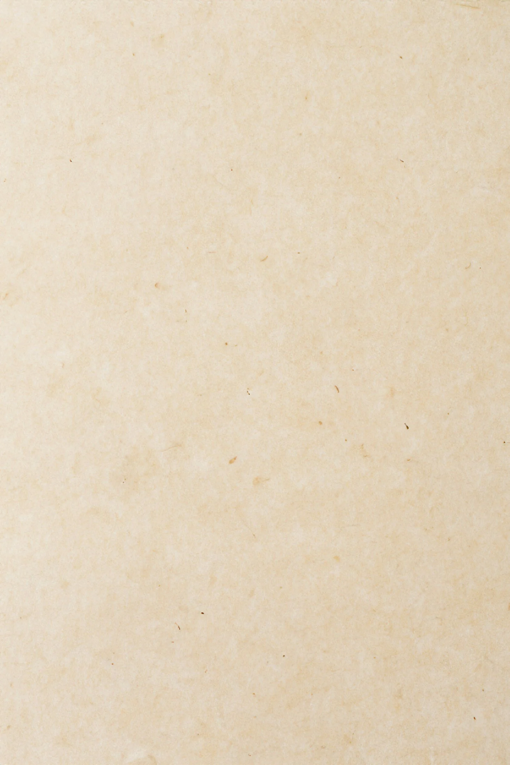 unsplash-image-ZOjLtBNuY2E.jpg