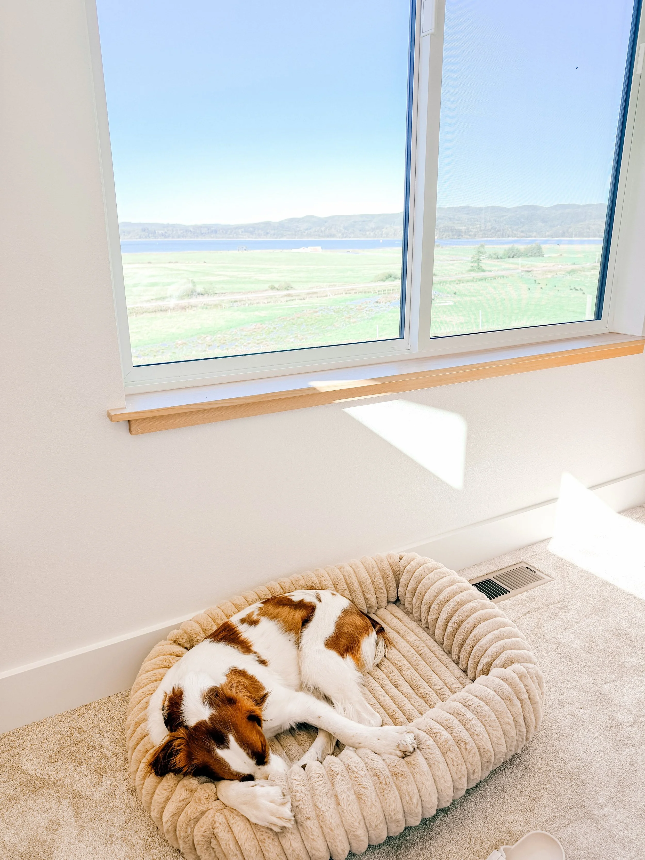 Home feels especially good lately.

We&rsquo;re still settling in, finding our routines, and slowly making every corner ours. Mostly, I&rsquo;m just really happy we&rsquo;re all here together.

I think Angus agrees.