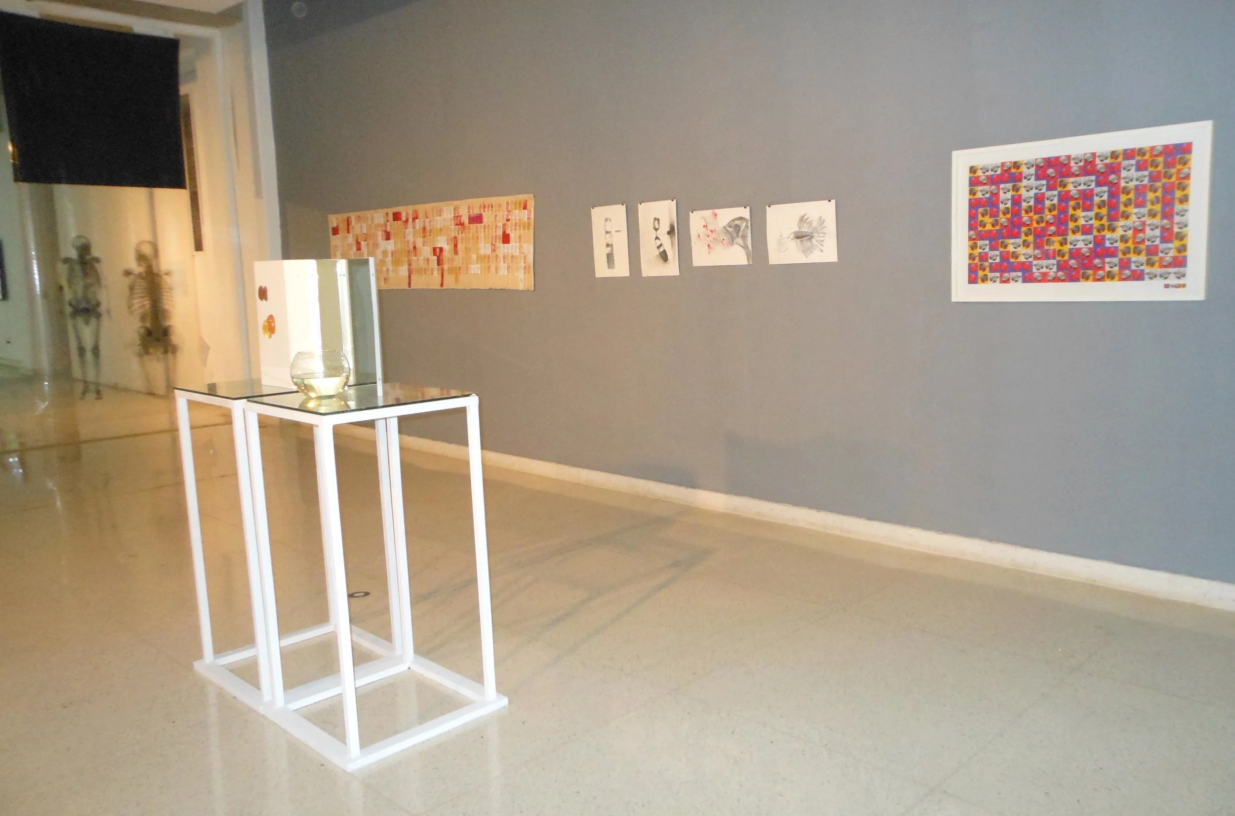 pez beta con cortina osea Maczul .jpg