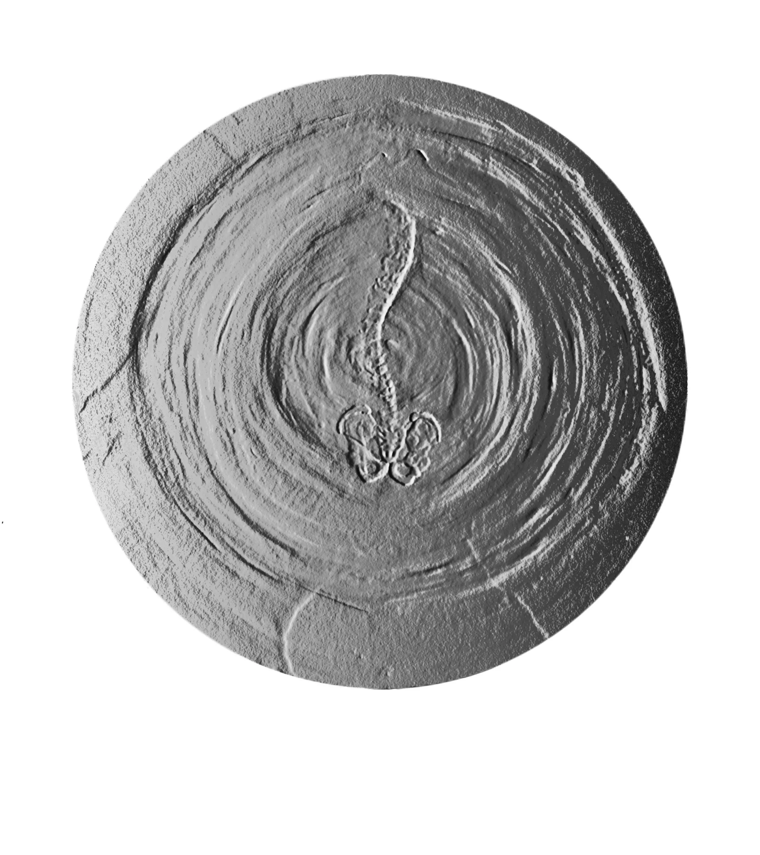 celula fosil 1 baja copy.jpg
