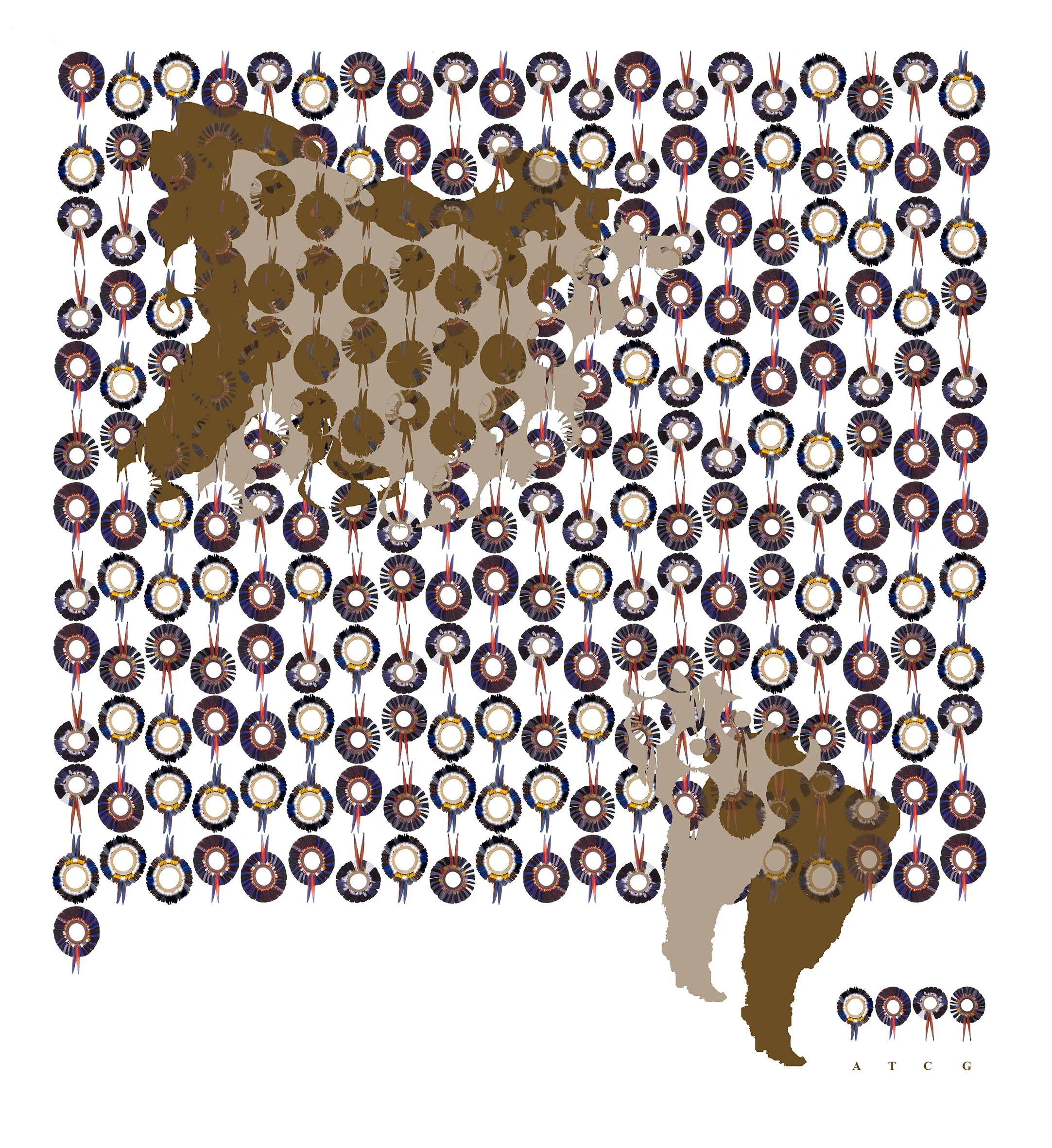 Beringia-Hoyano-Mapas,2016