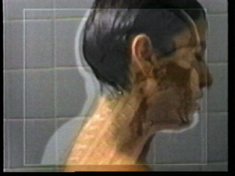 Nela Ochoa. Vídeos 1985 - 2006