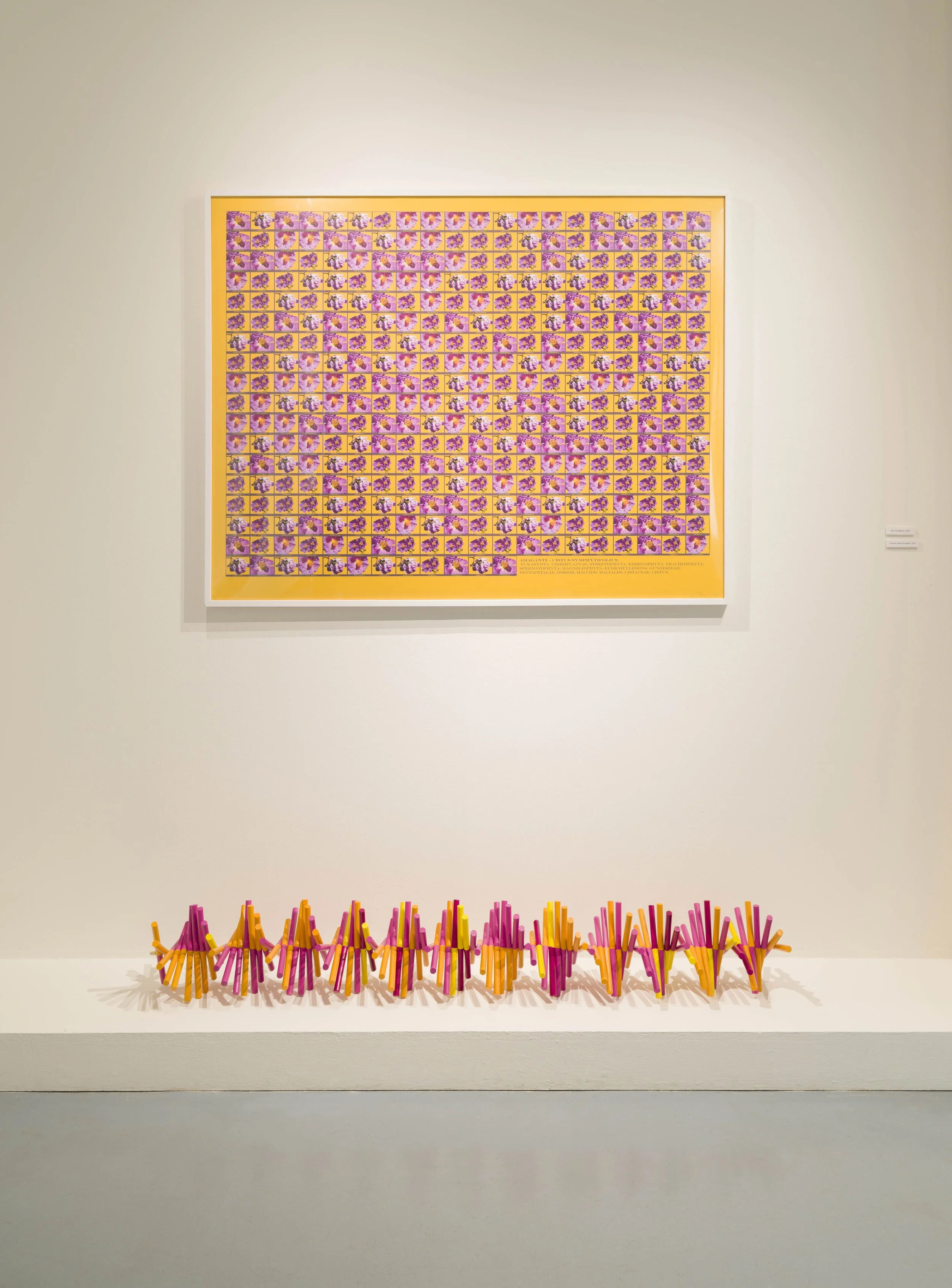 Amagante grafica y escultura .jpg