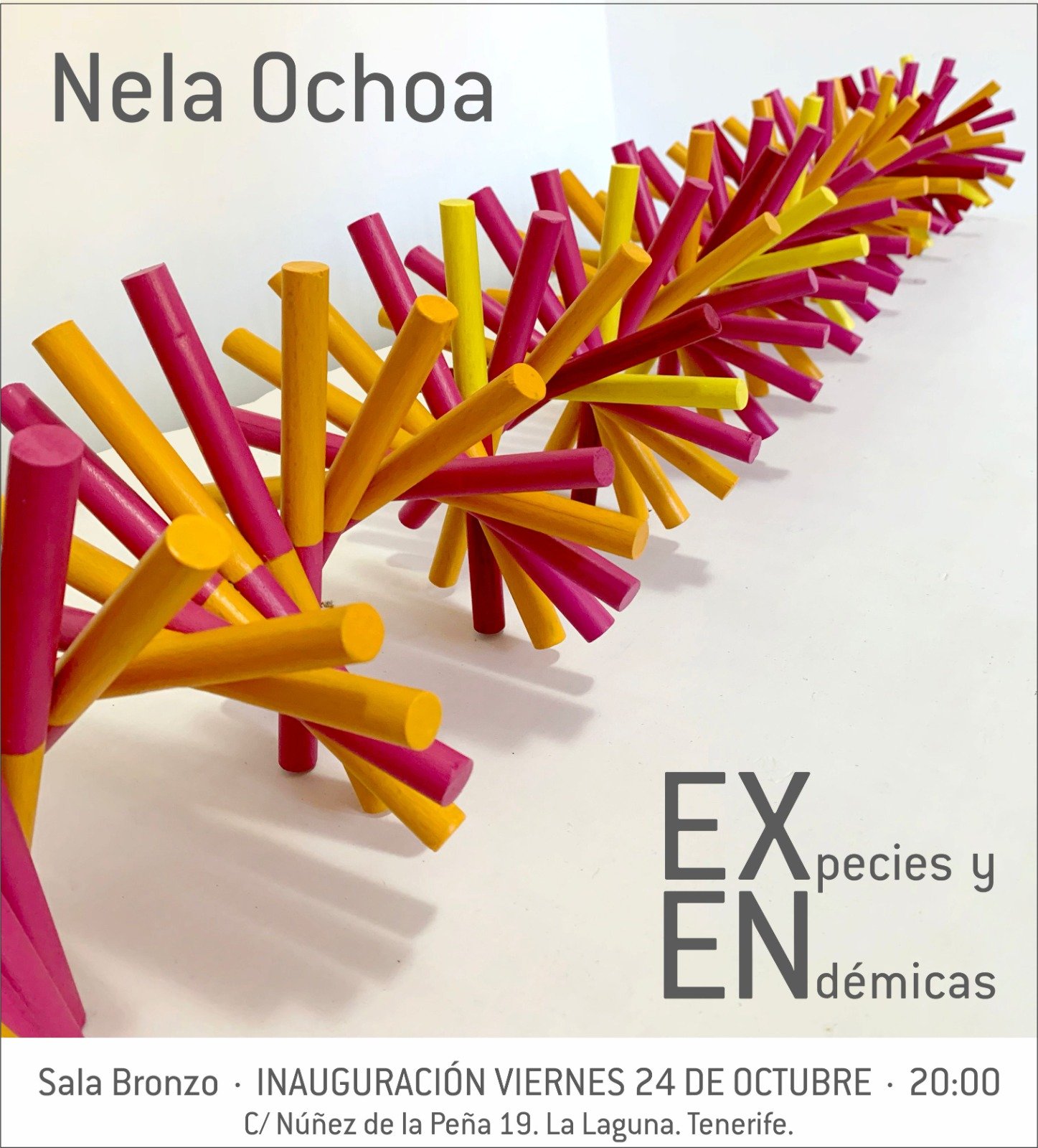 EXpecies y ENdémicas -invitación .JPG