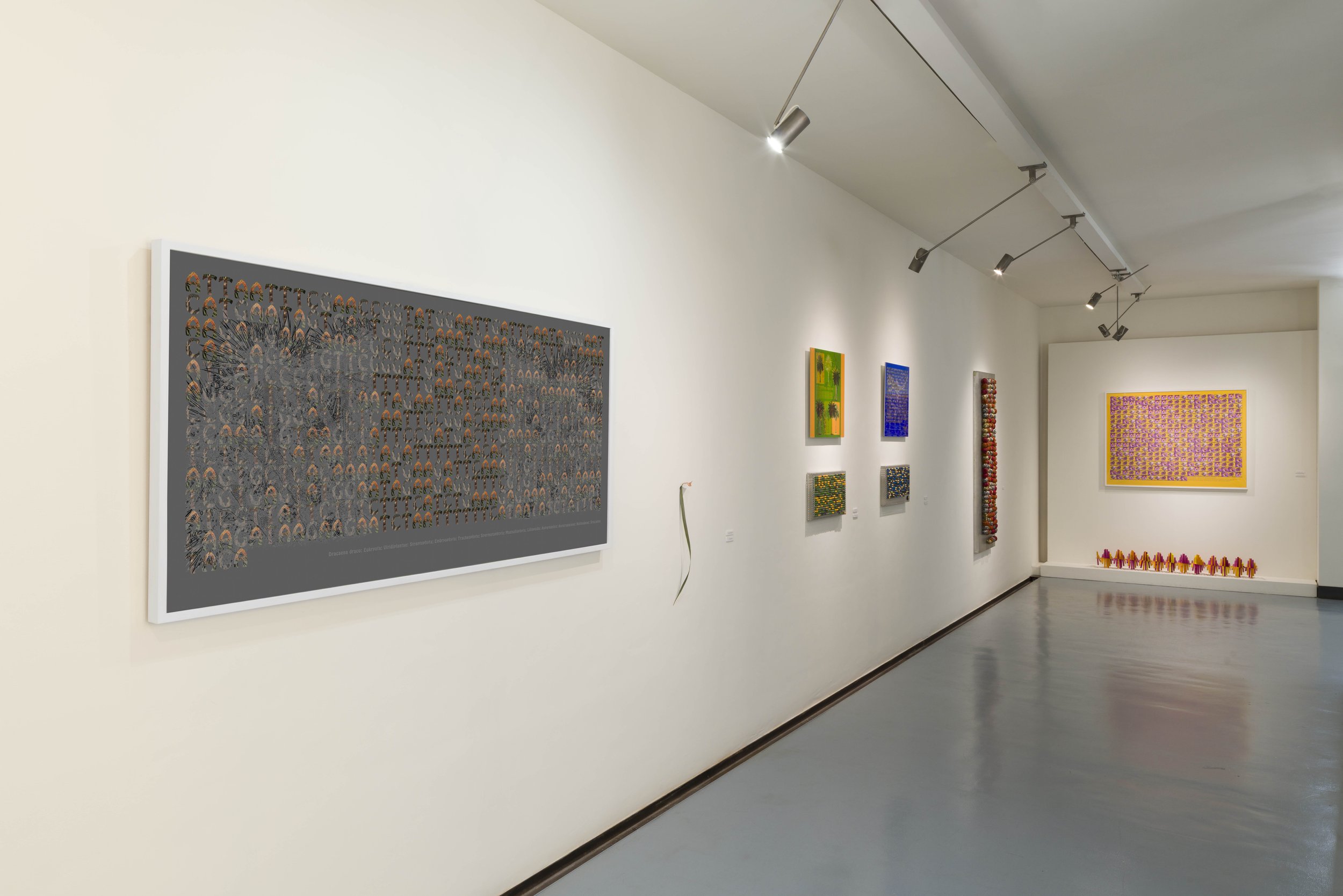 NELA OCHOA VISTA expo 1 .jpg