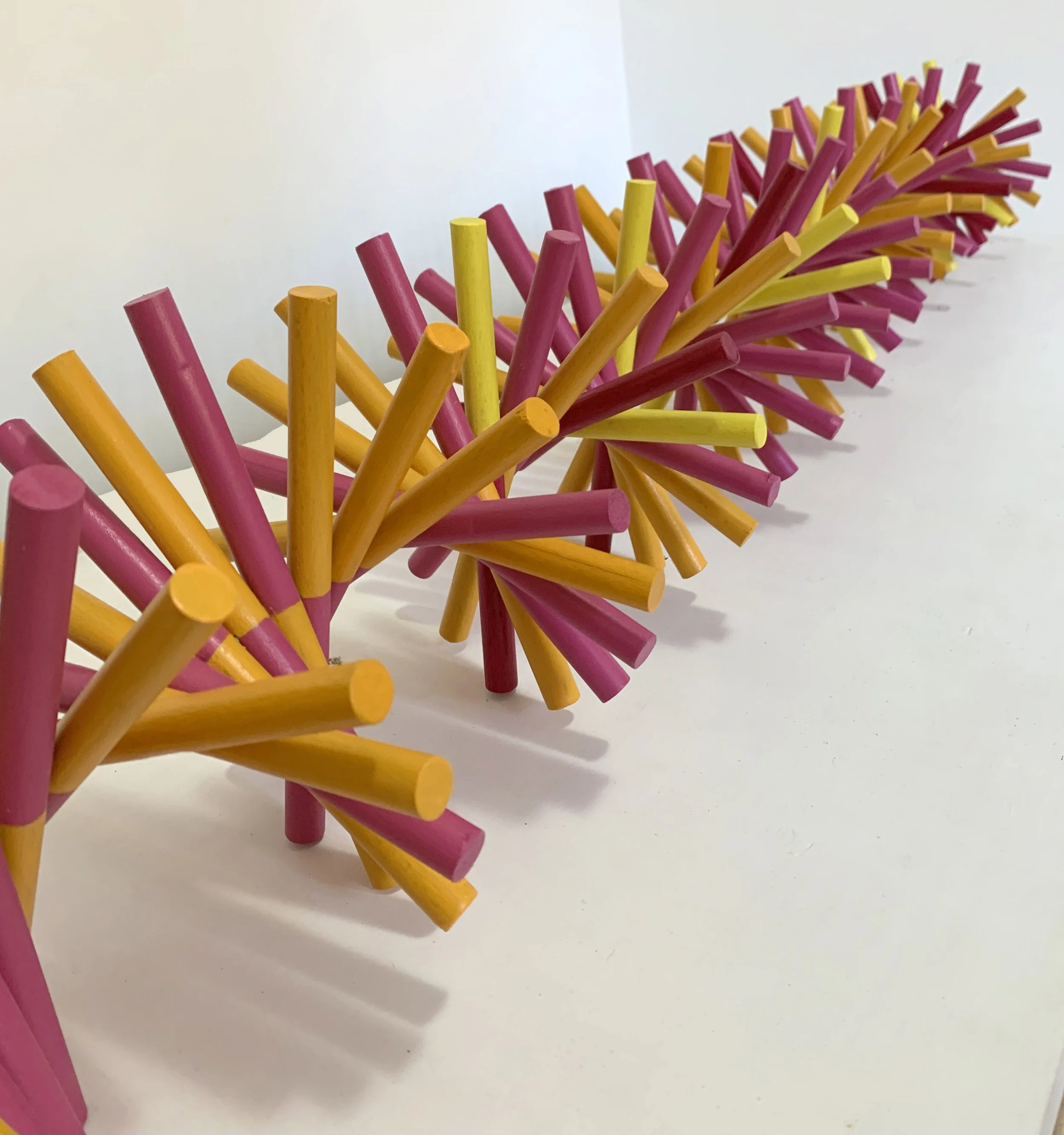 EXpecies y ENdemicas, 2025