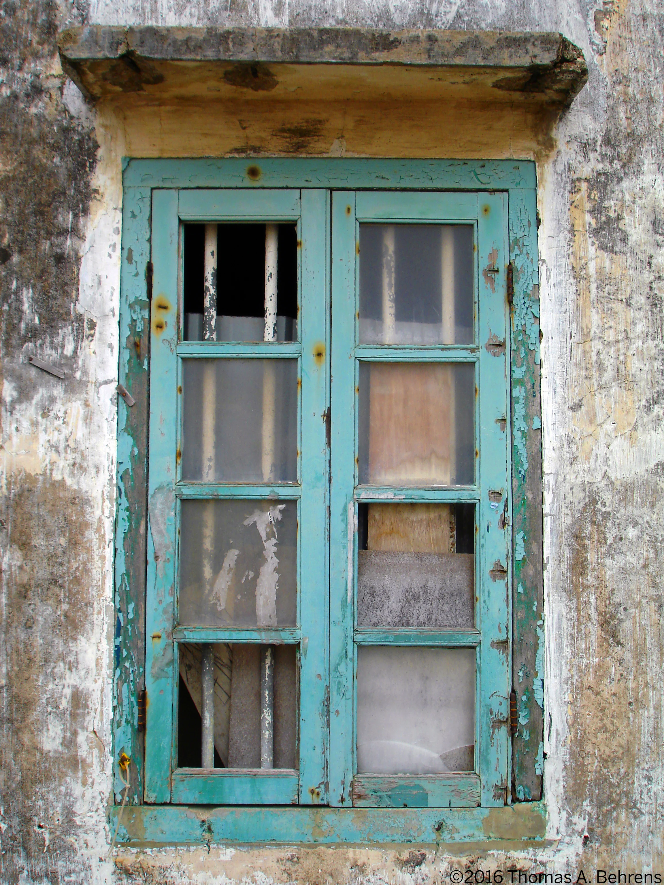 DSC00110 copy.jpg