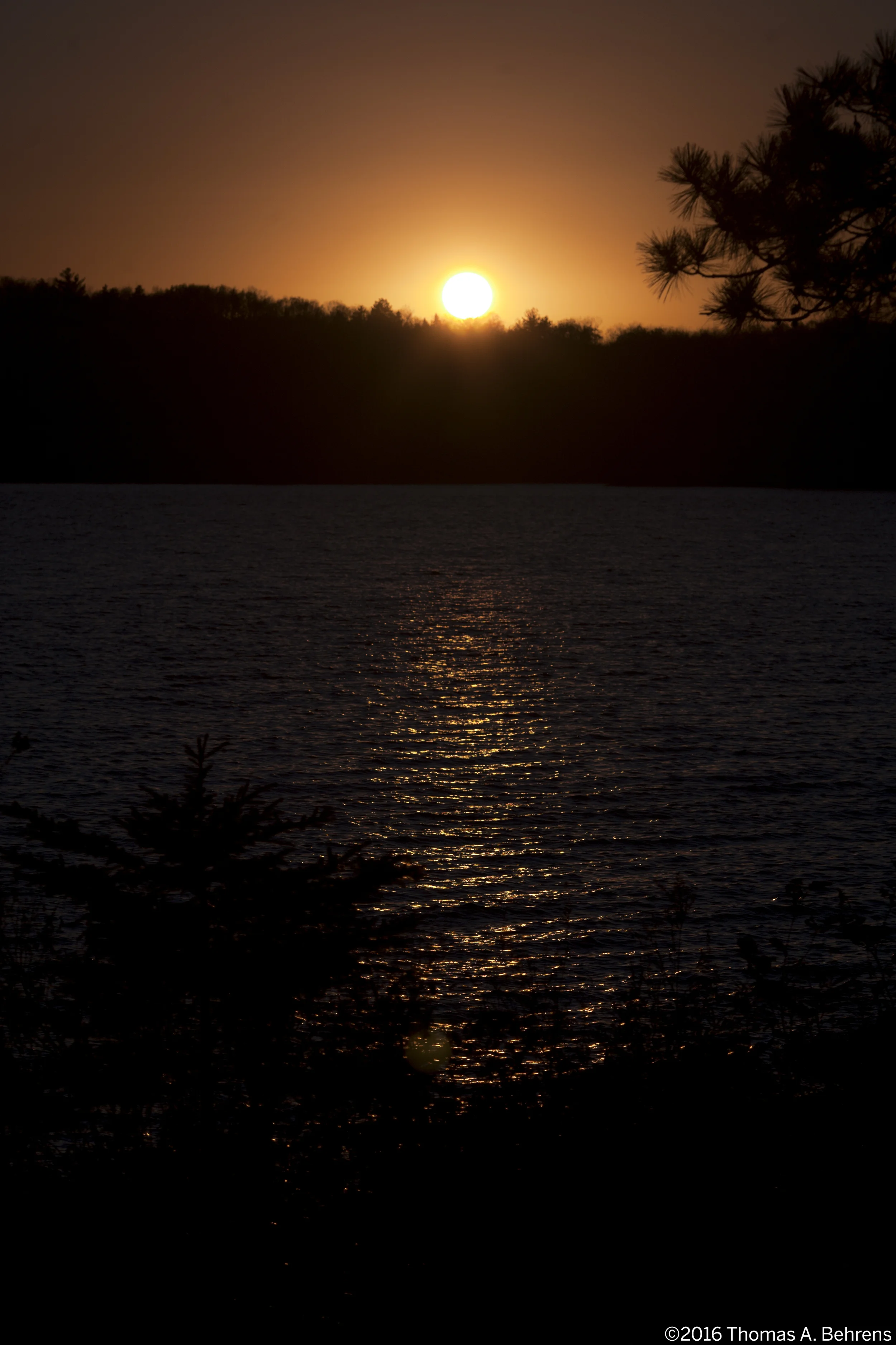 _MG_2937 copy.jpg