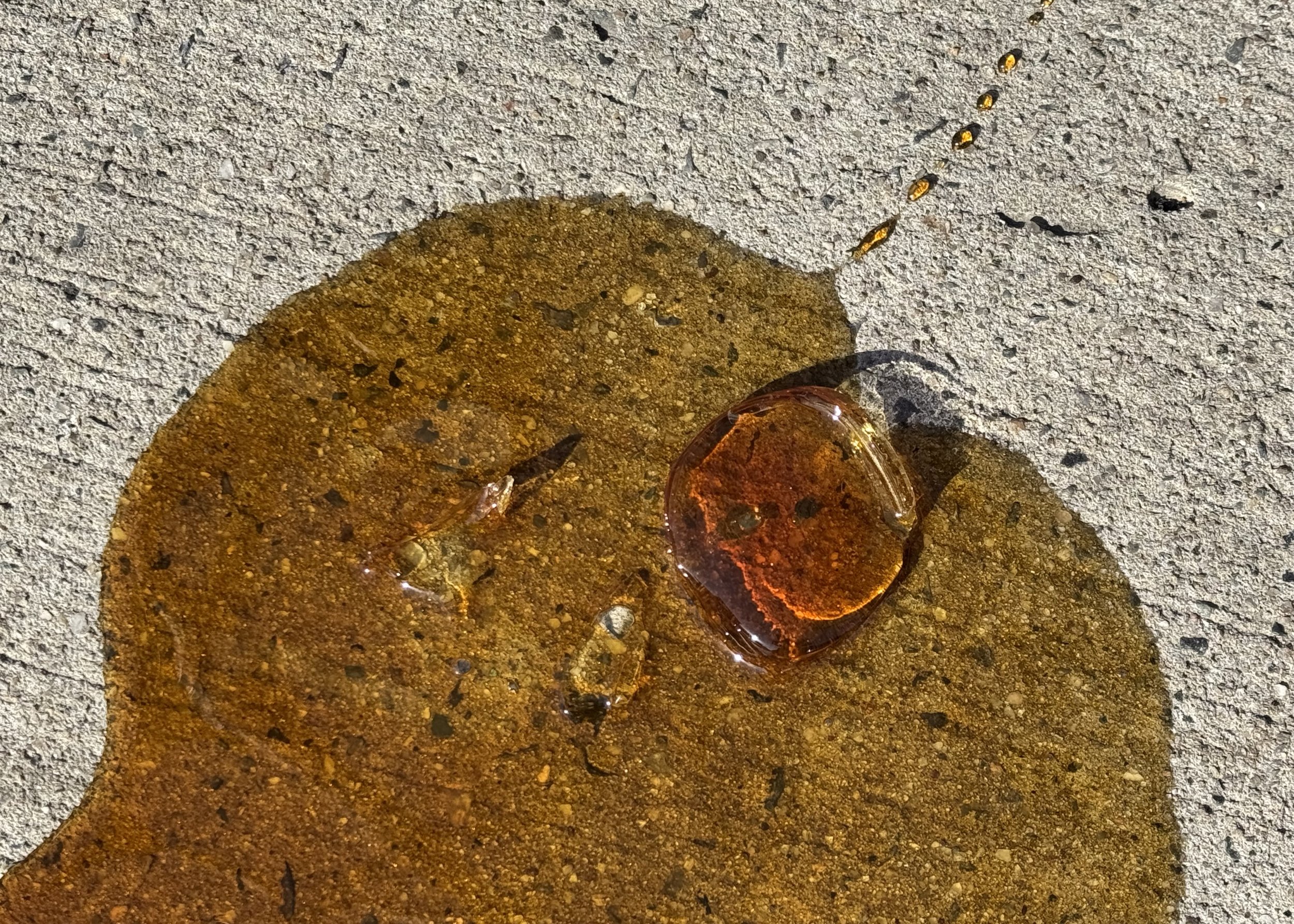 IMG_2882.jpeg