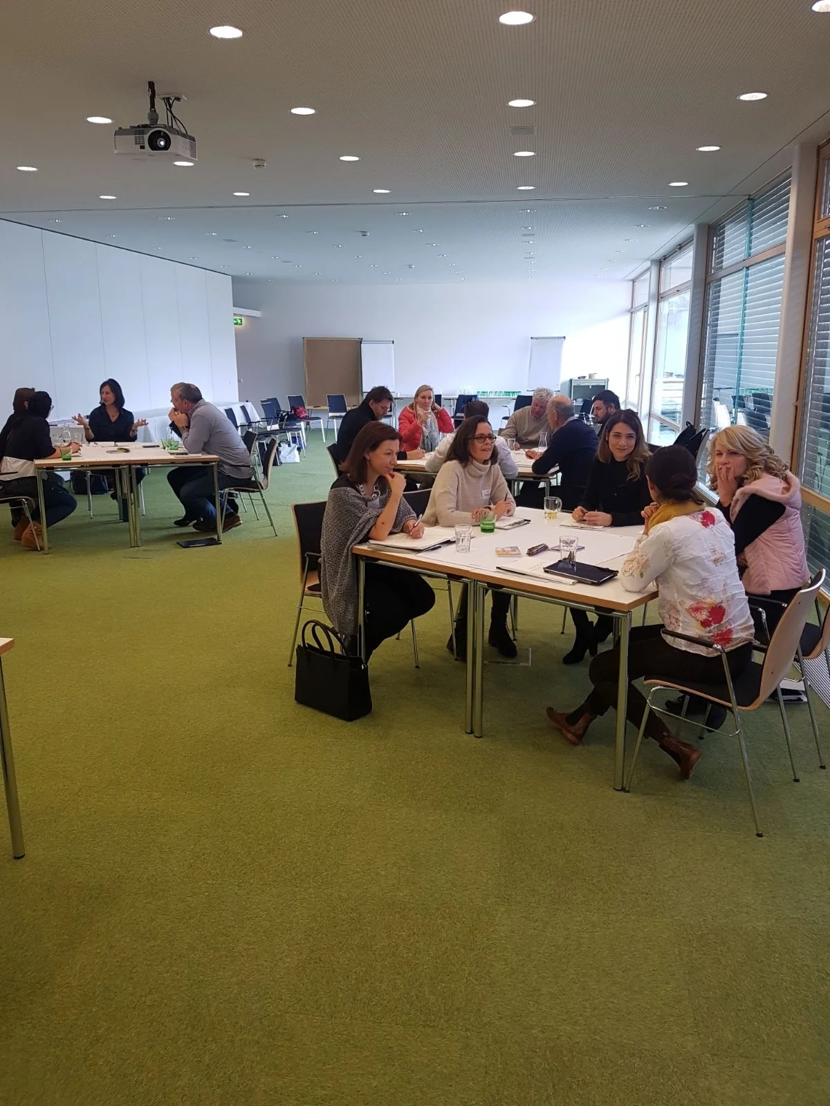 WhatsApp Image 2018-03-03 at 18.34.50.jpeg