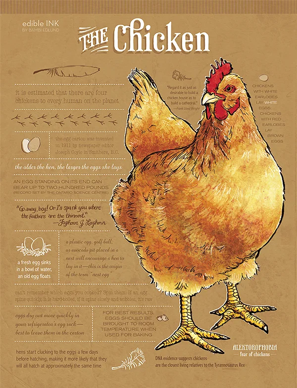 Chicken.jpg
