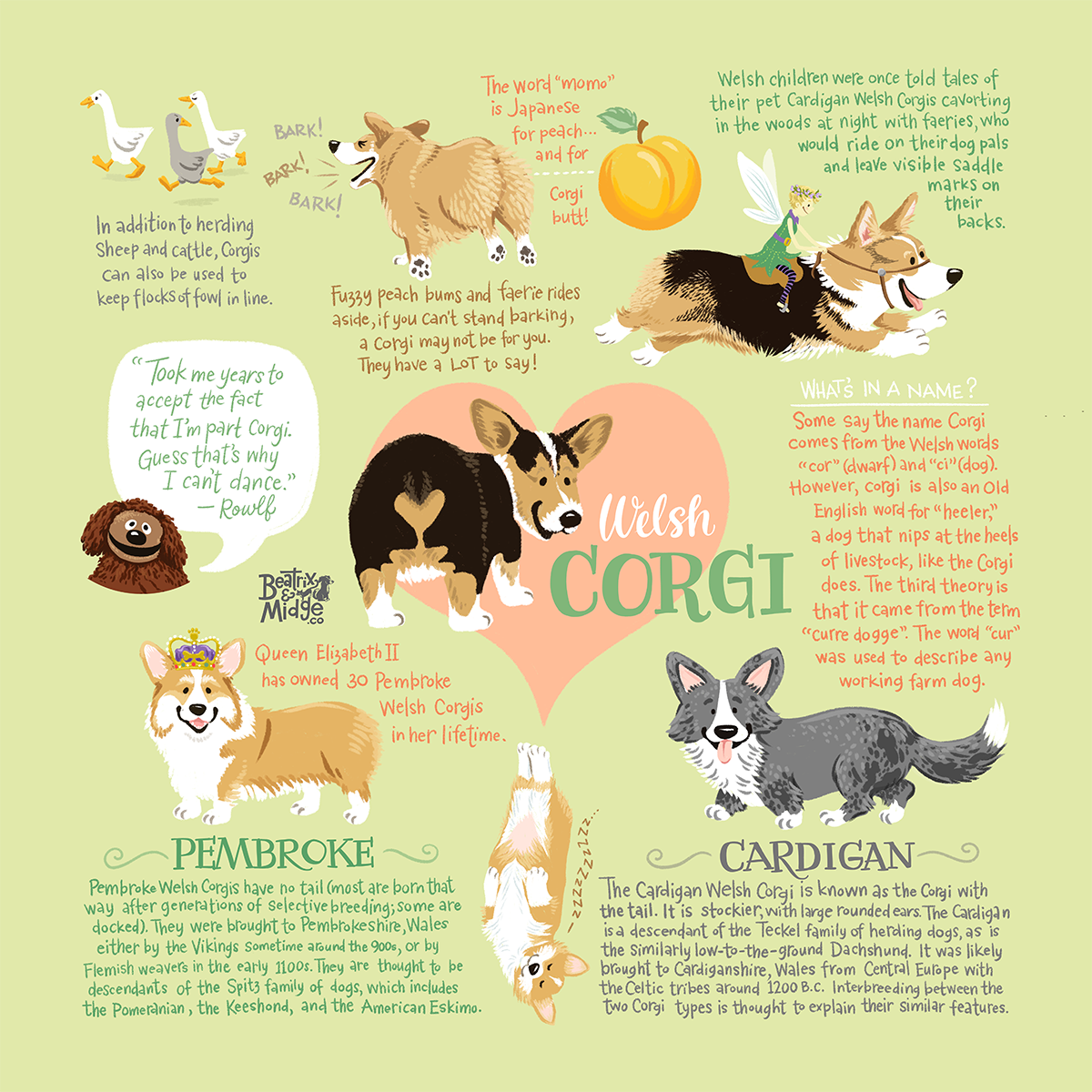 Infographic for my company Beatrix & Midge Co .