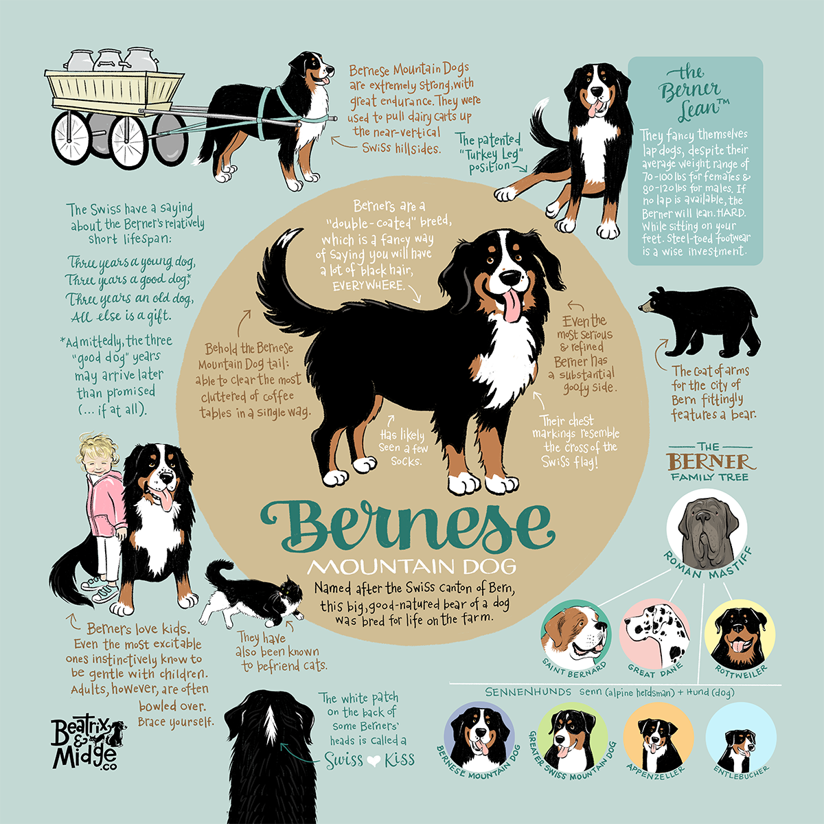 Infographic for my business Beatrix & Midge Co .