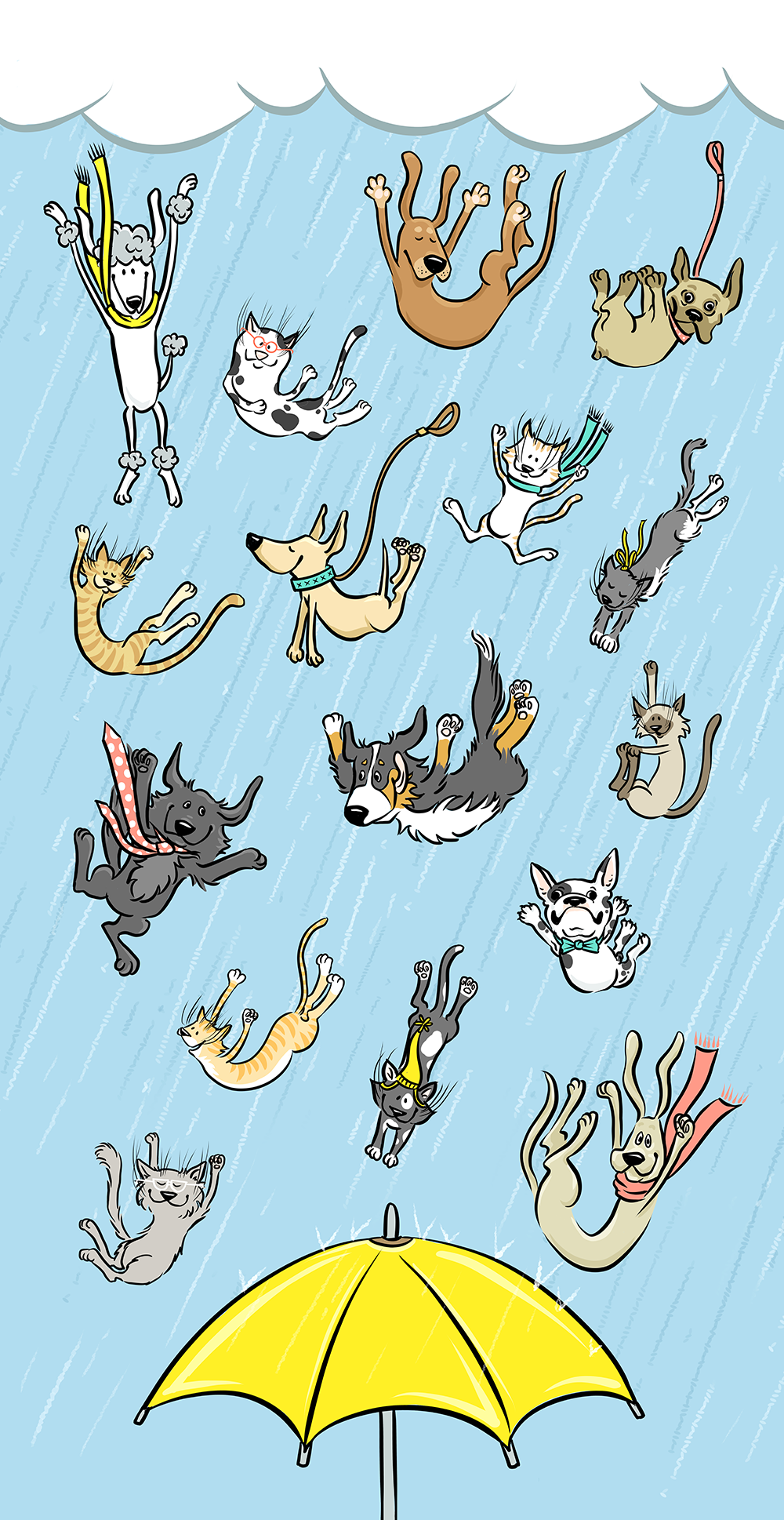 Raining Cats & Dogs