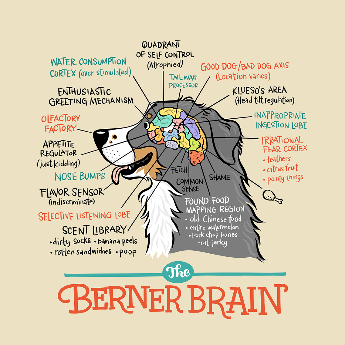 Infographic for my business Beatrix & Midge Co .