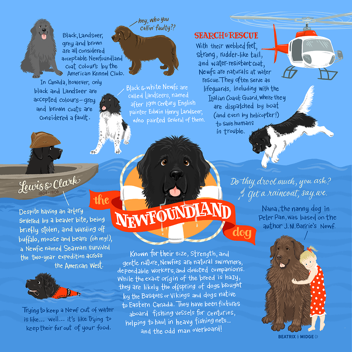 Infographic for my business Beatrix & Midge Co .