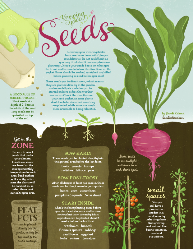 Illustration, writing and design for Edible Vancouver magazine