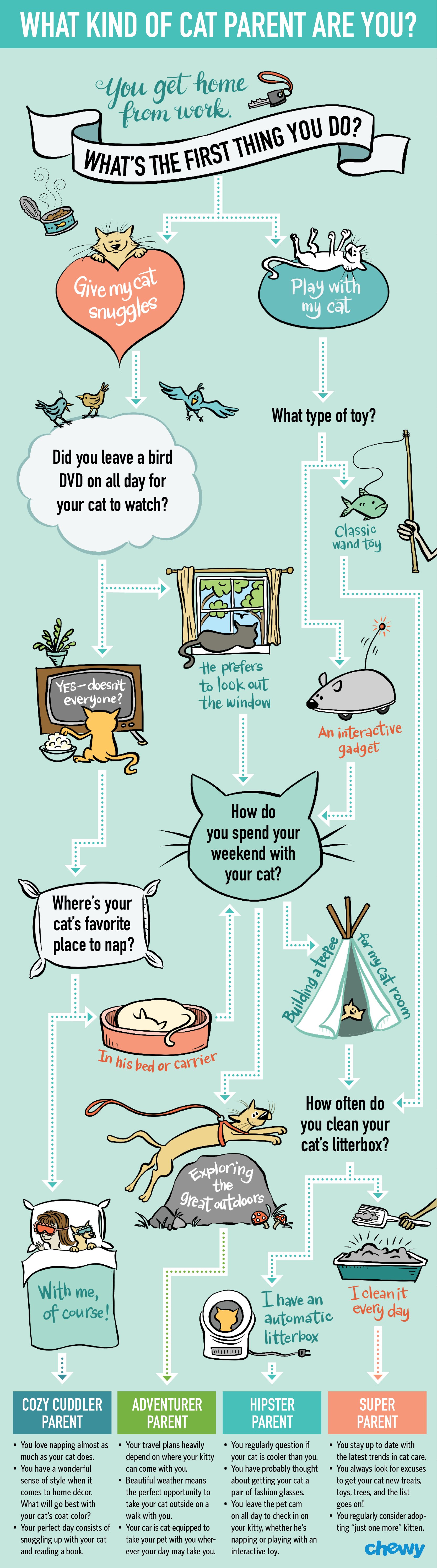 Infographic illustration & design for chewy.com