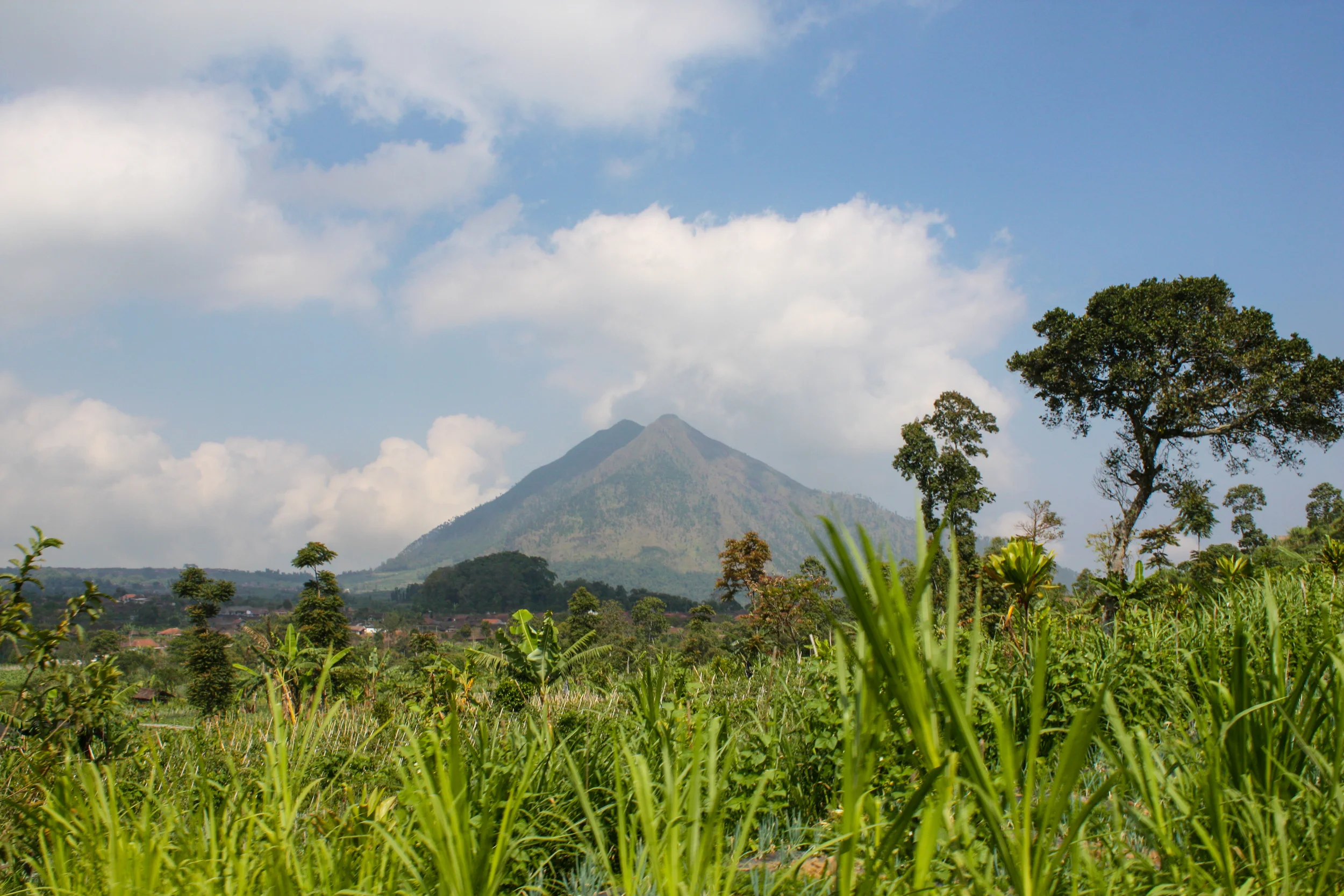 Gunung Telomoyo | Jawa Tengah | Indonesia