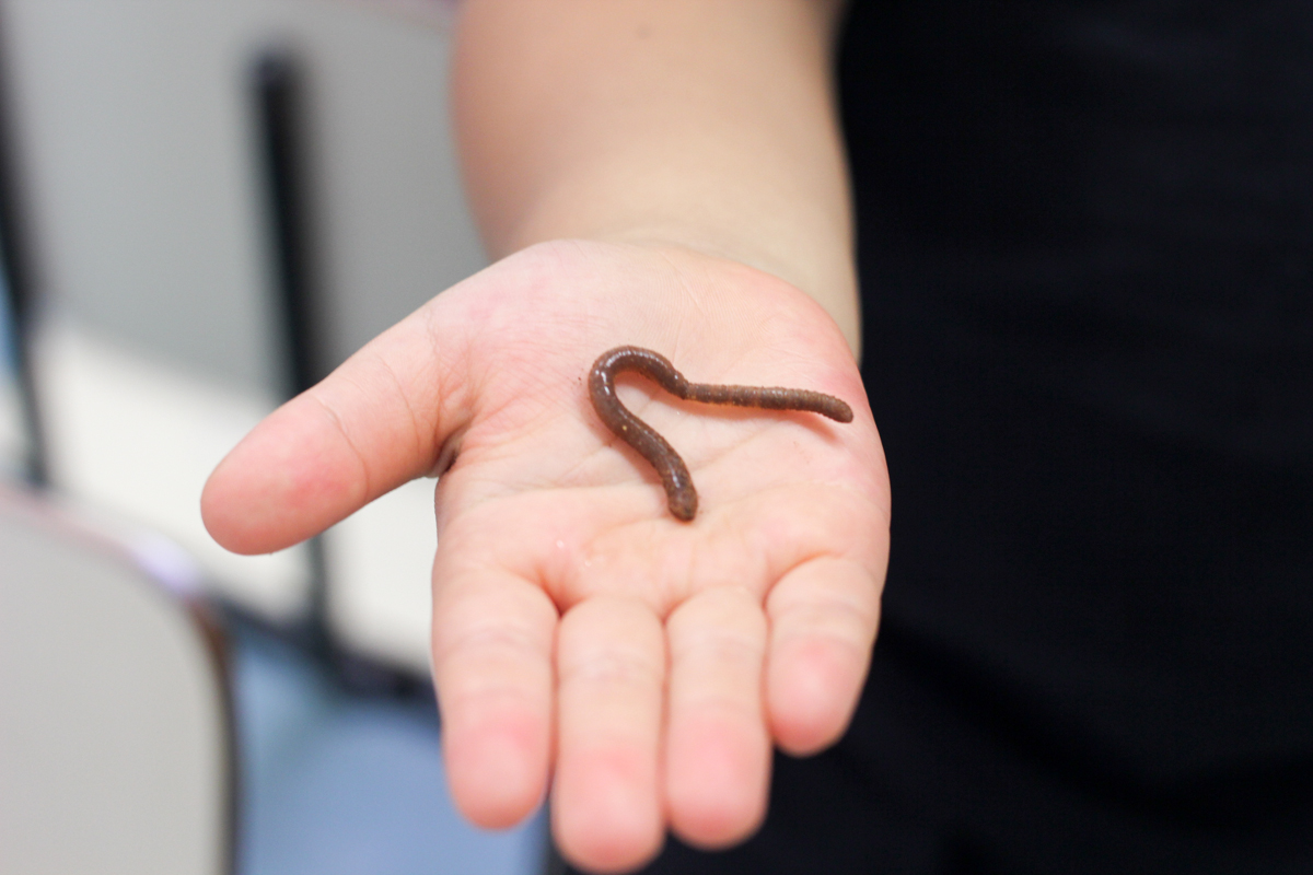 How To Get The Attention Of A Room Full Of Children