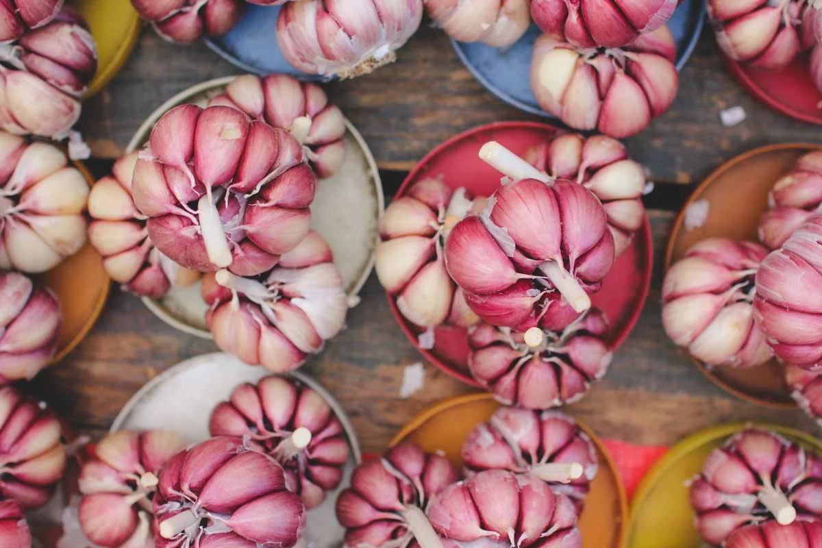 5 Reasons To Love The Feira