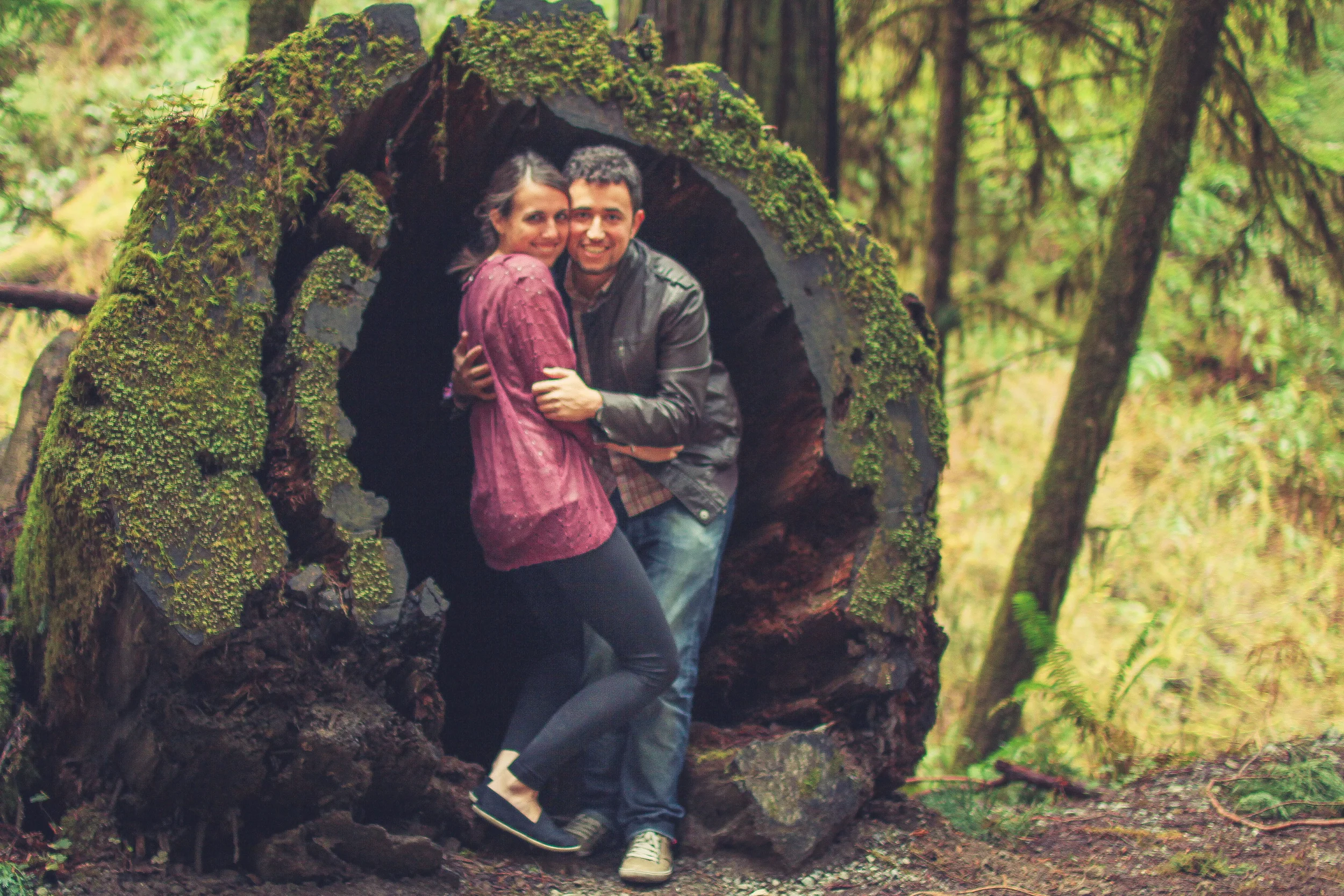 Jedidiah Smith Redwood Forest | California