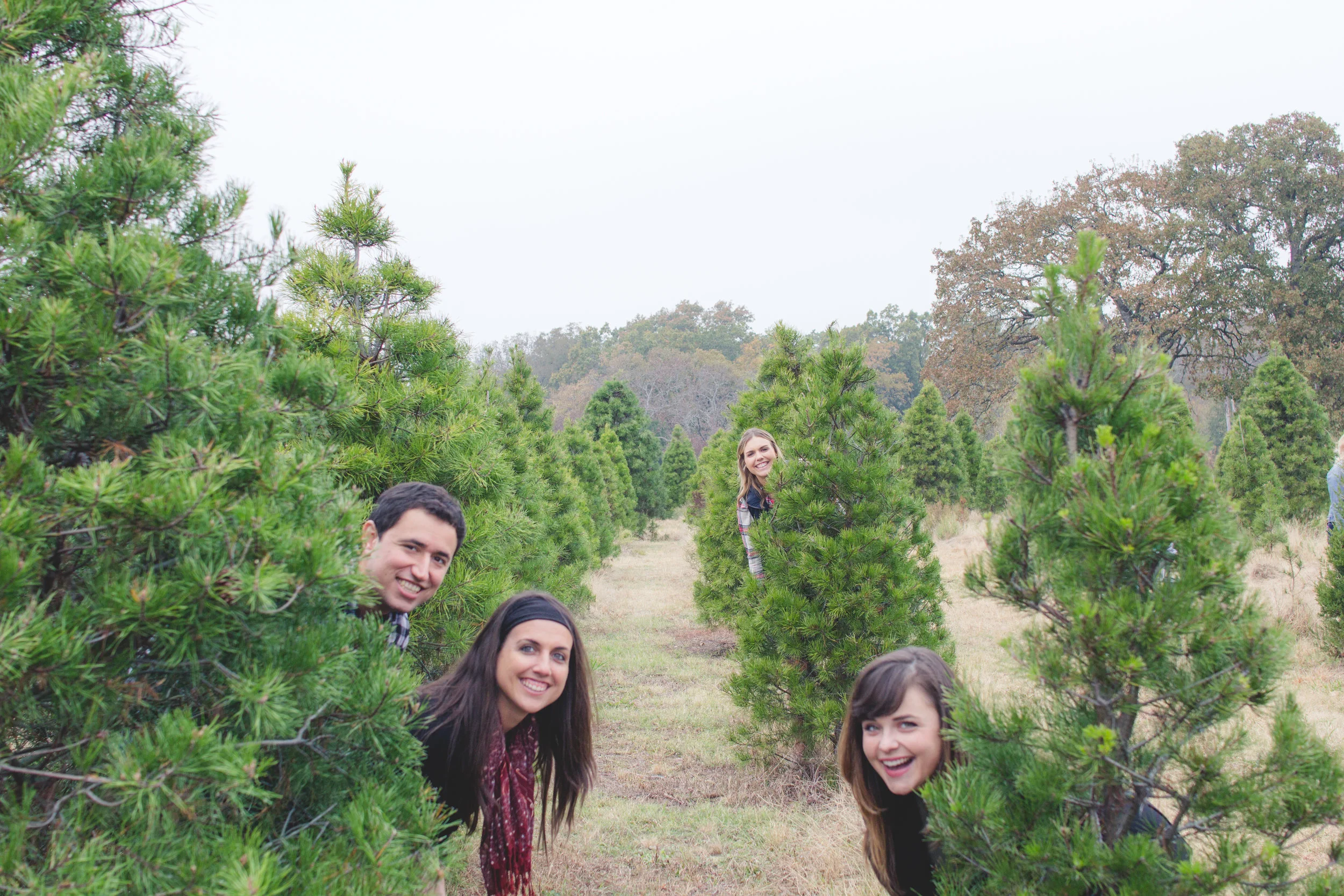 Christmas Tree Blog The Traveling Teacher Christmas Tree Blog The Traveling