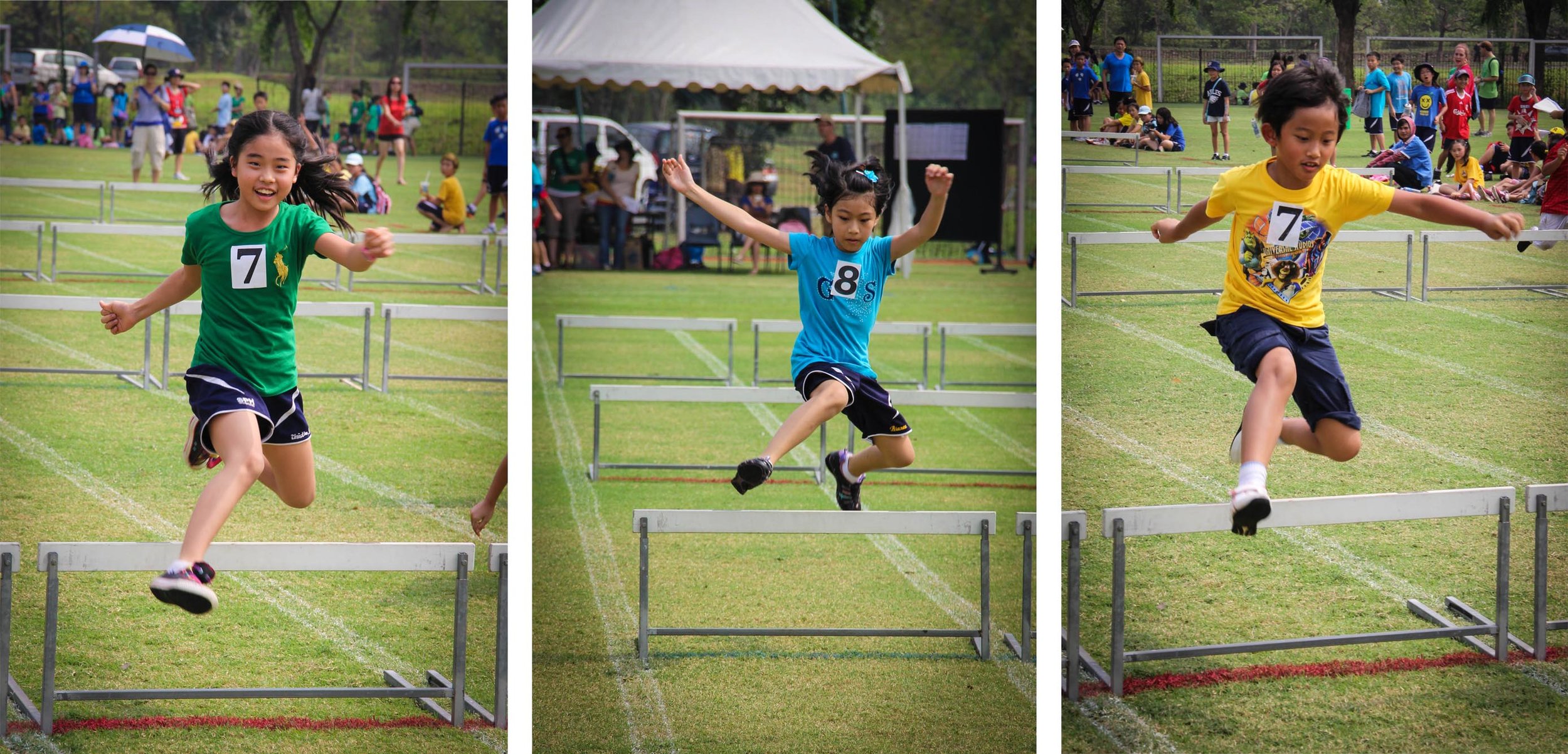 Hurdles.jpg