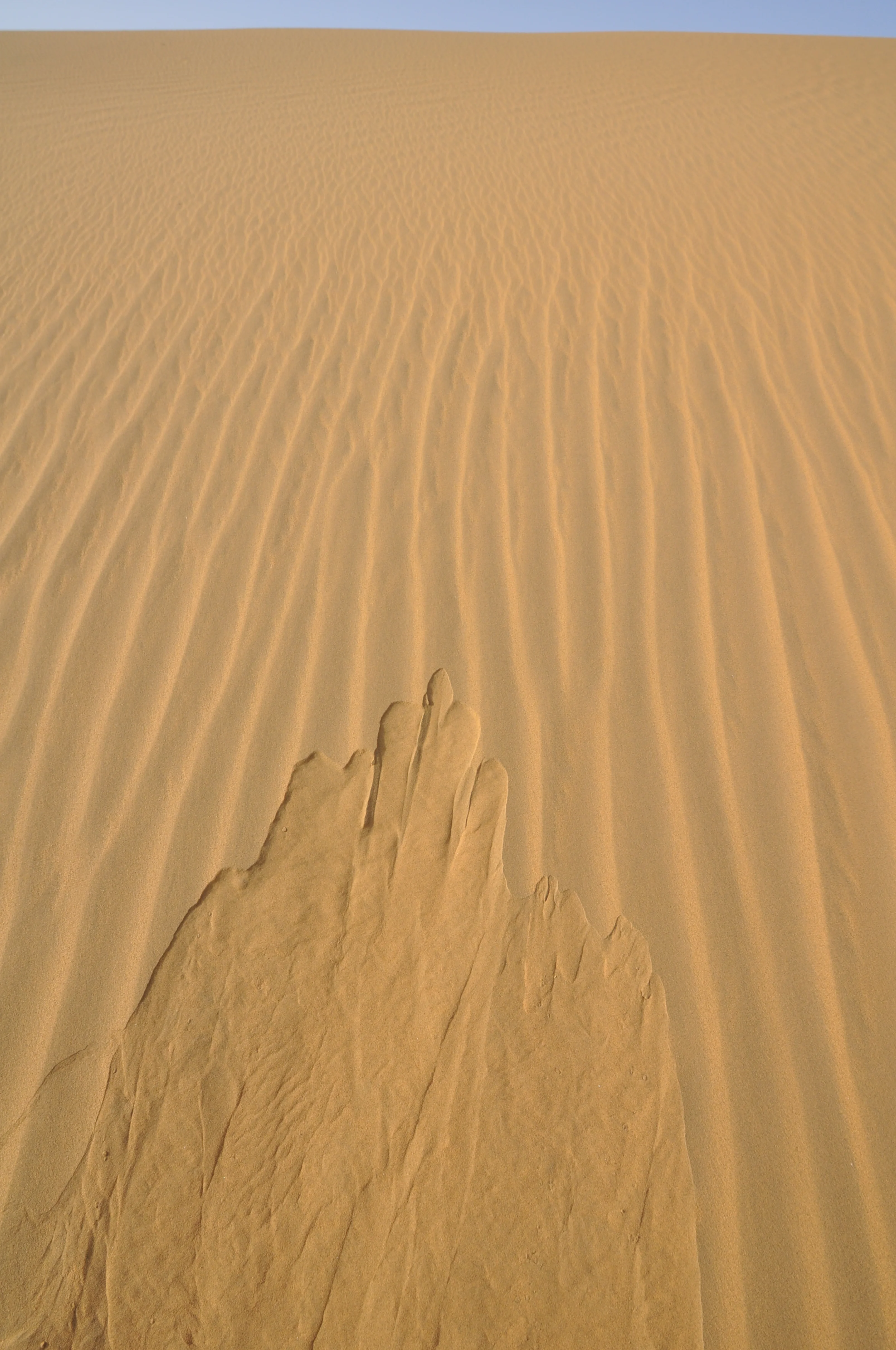 DSC_0794.JPG