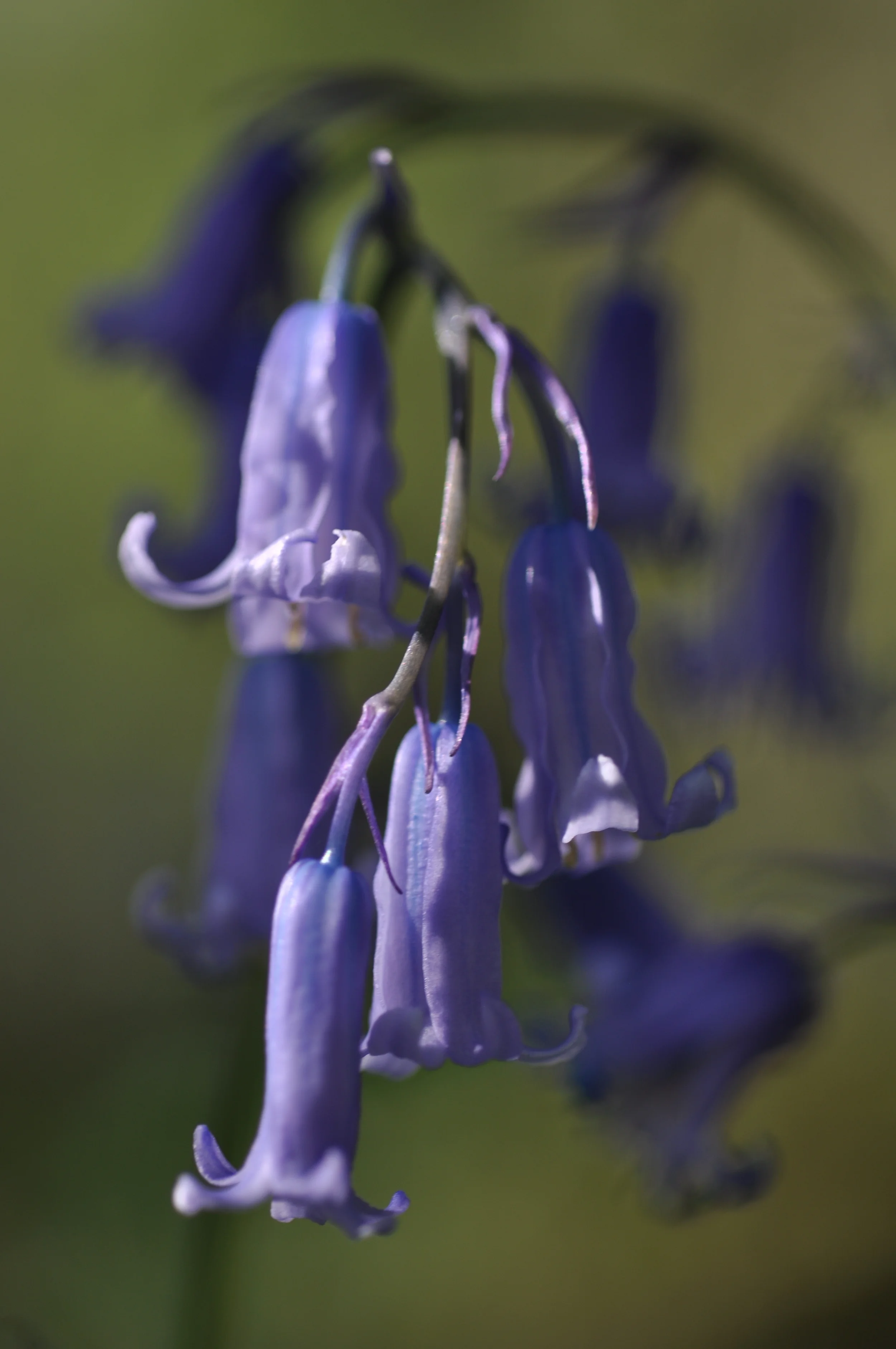 DSC_0445.JPG